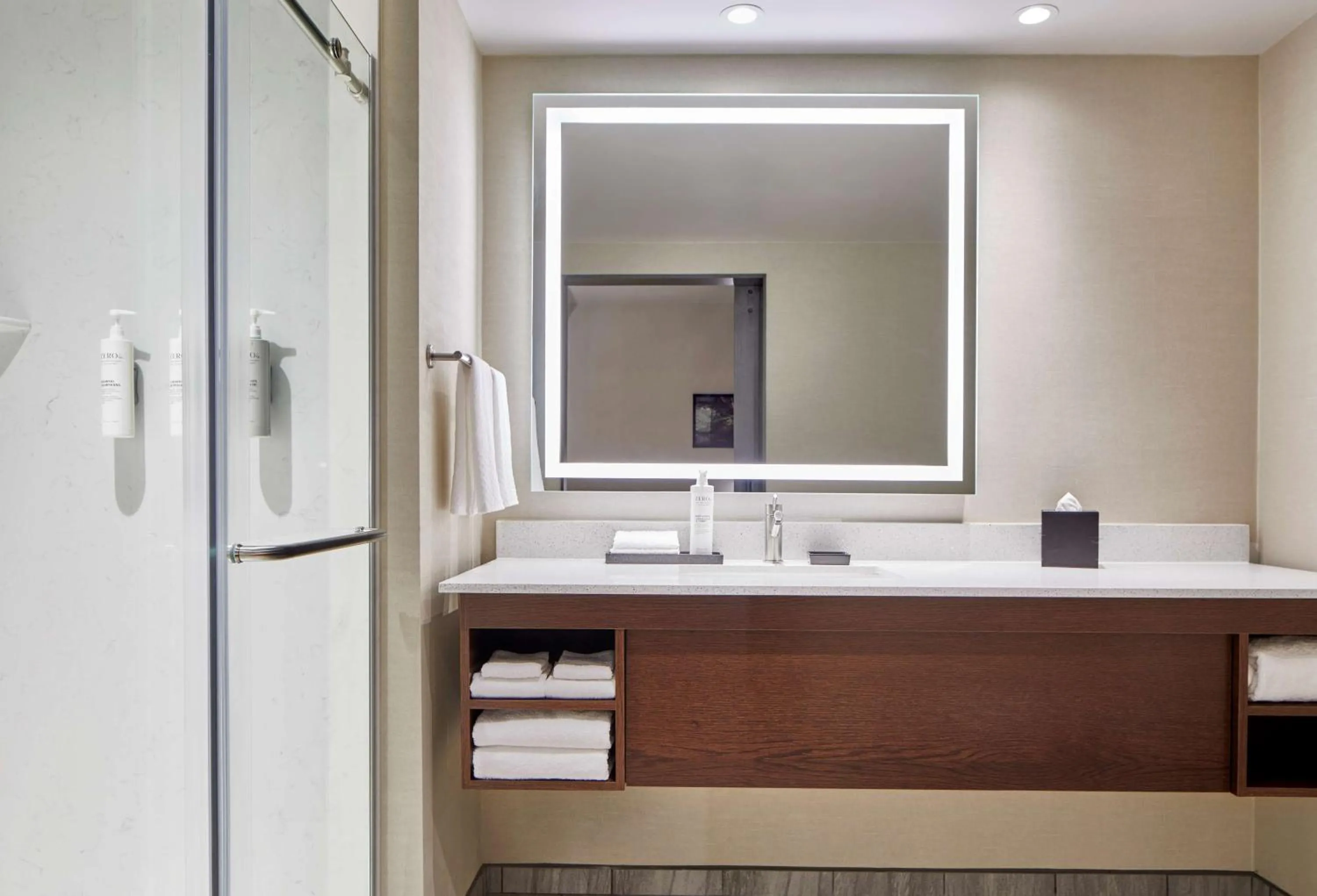 Bathroom in Embassy Suites by Hilton Nashville Downtown