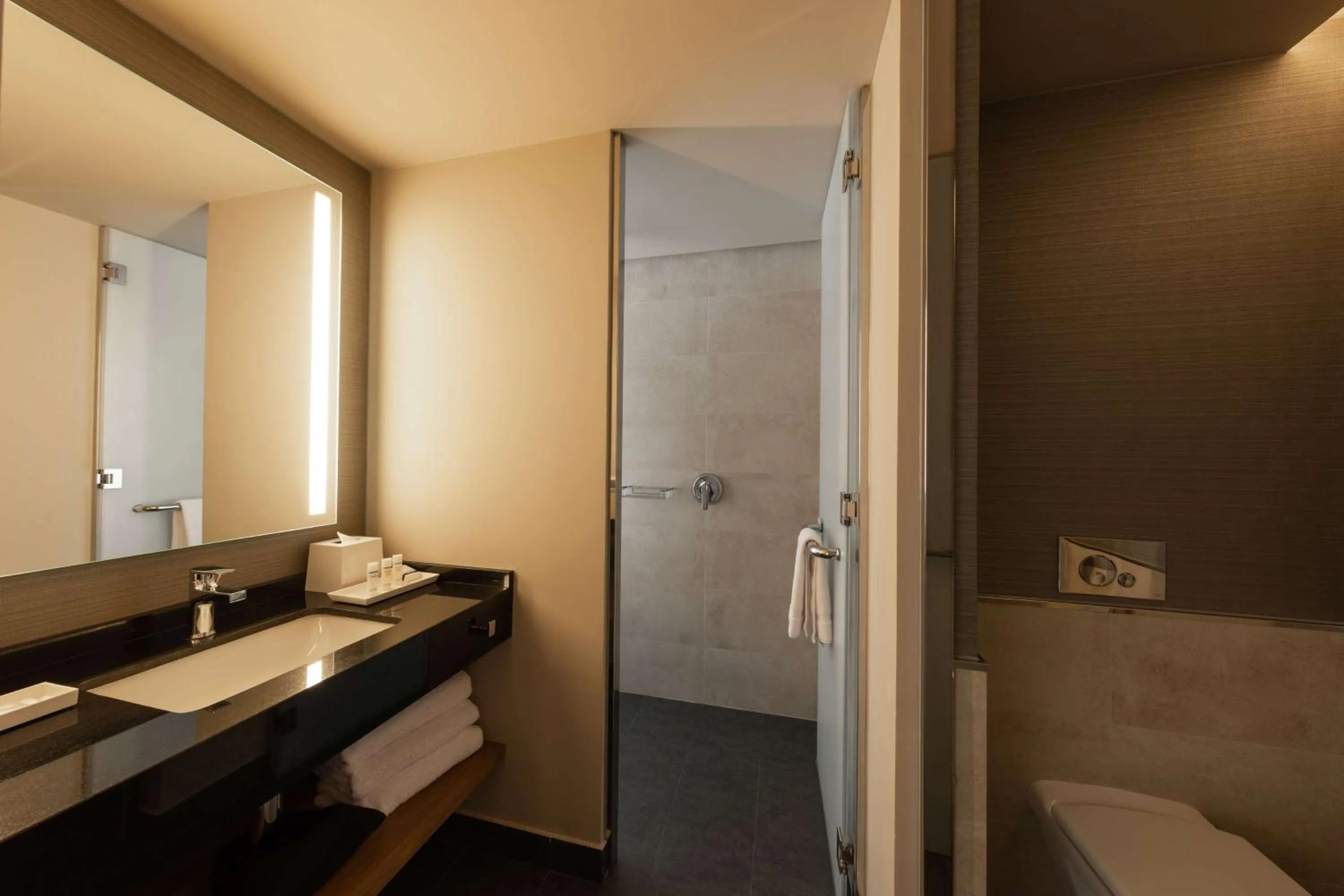 Bathroom, Bed in Hilton Garden Inn Lima Miraflores