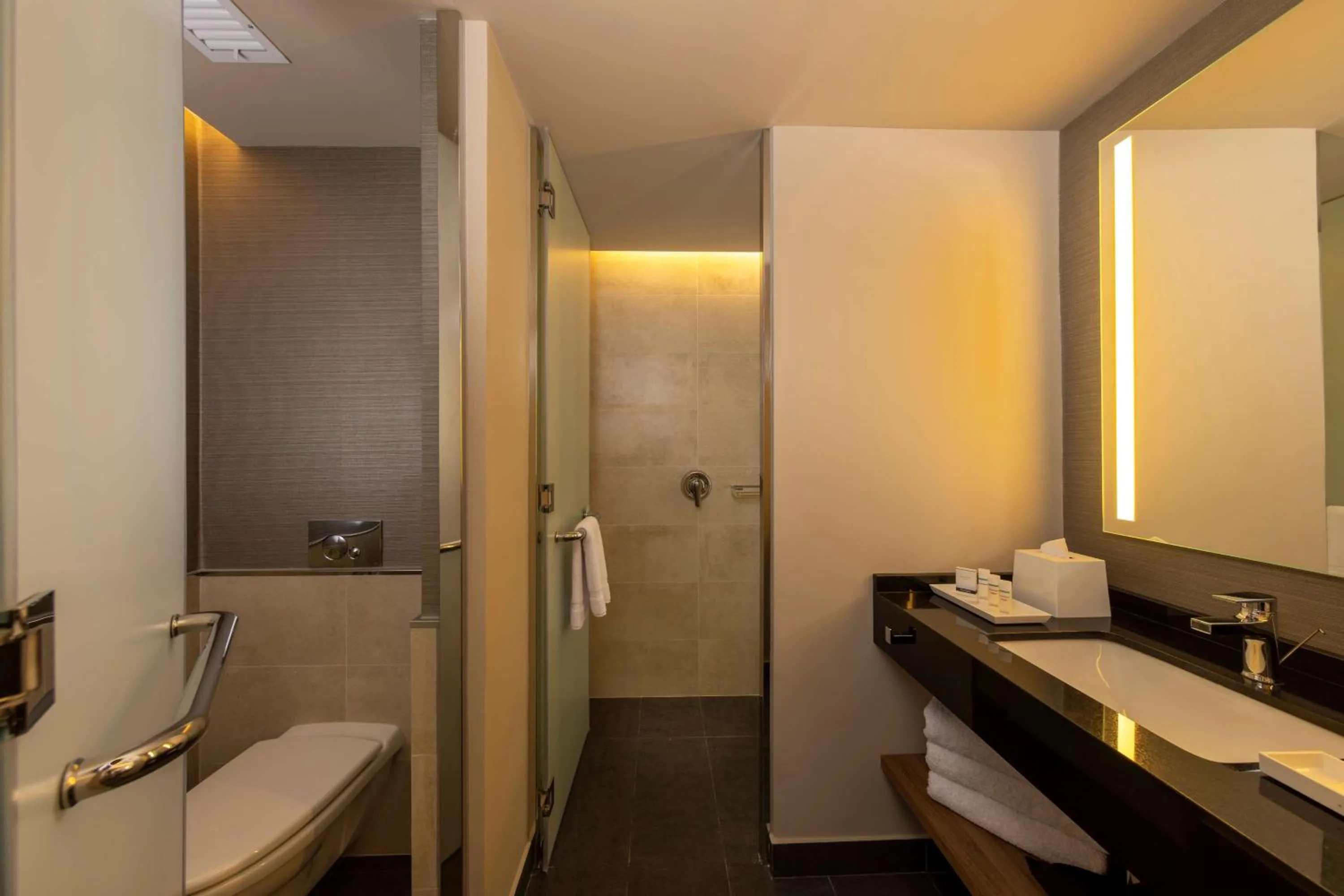 Bathroom in Hilton Garden Inn Lima Miraflores