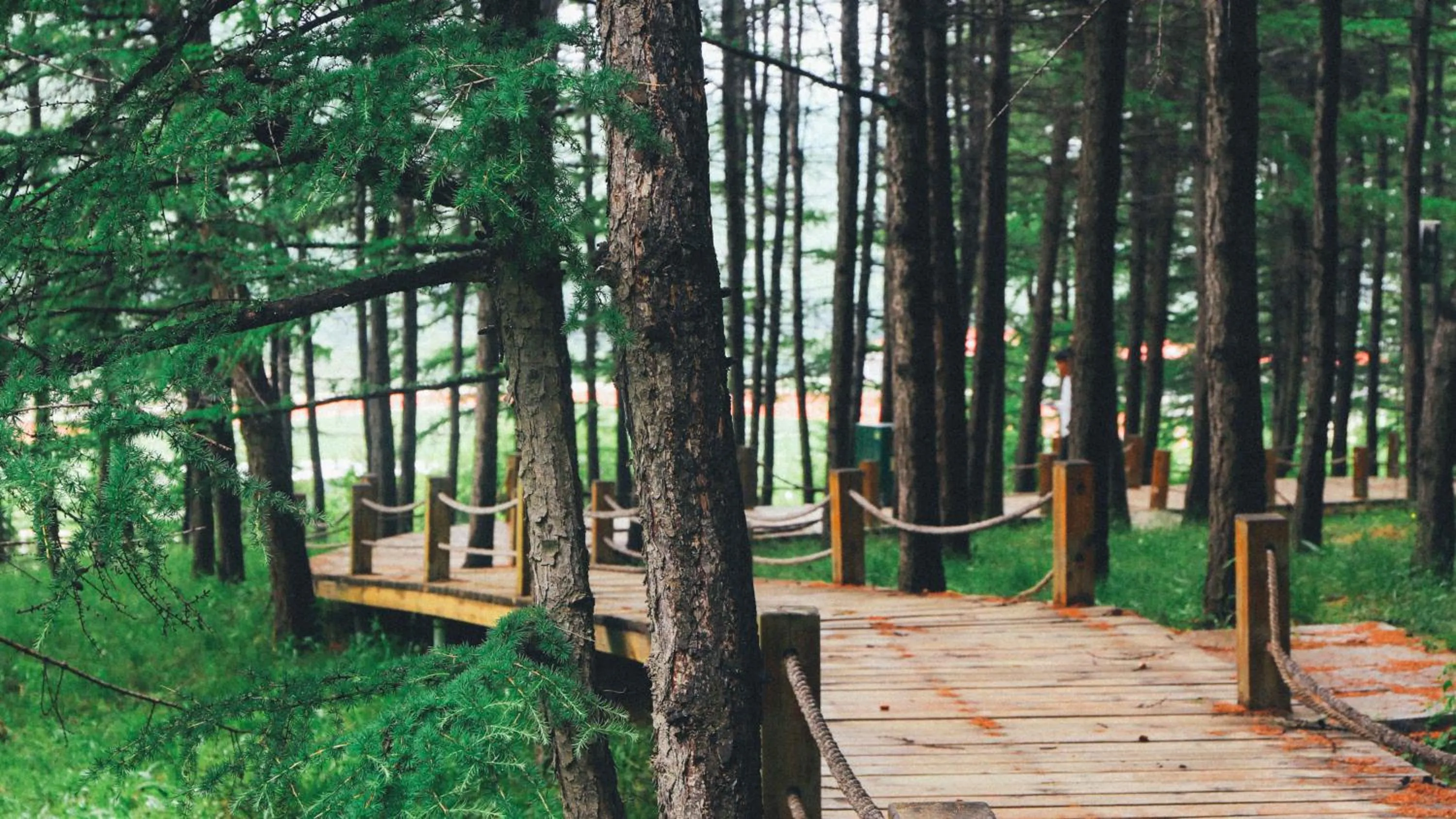 Other in Crowne Plaza Chongli Resort by IHG