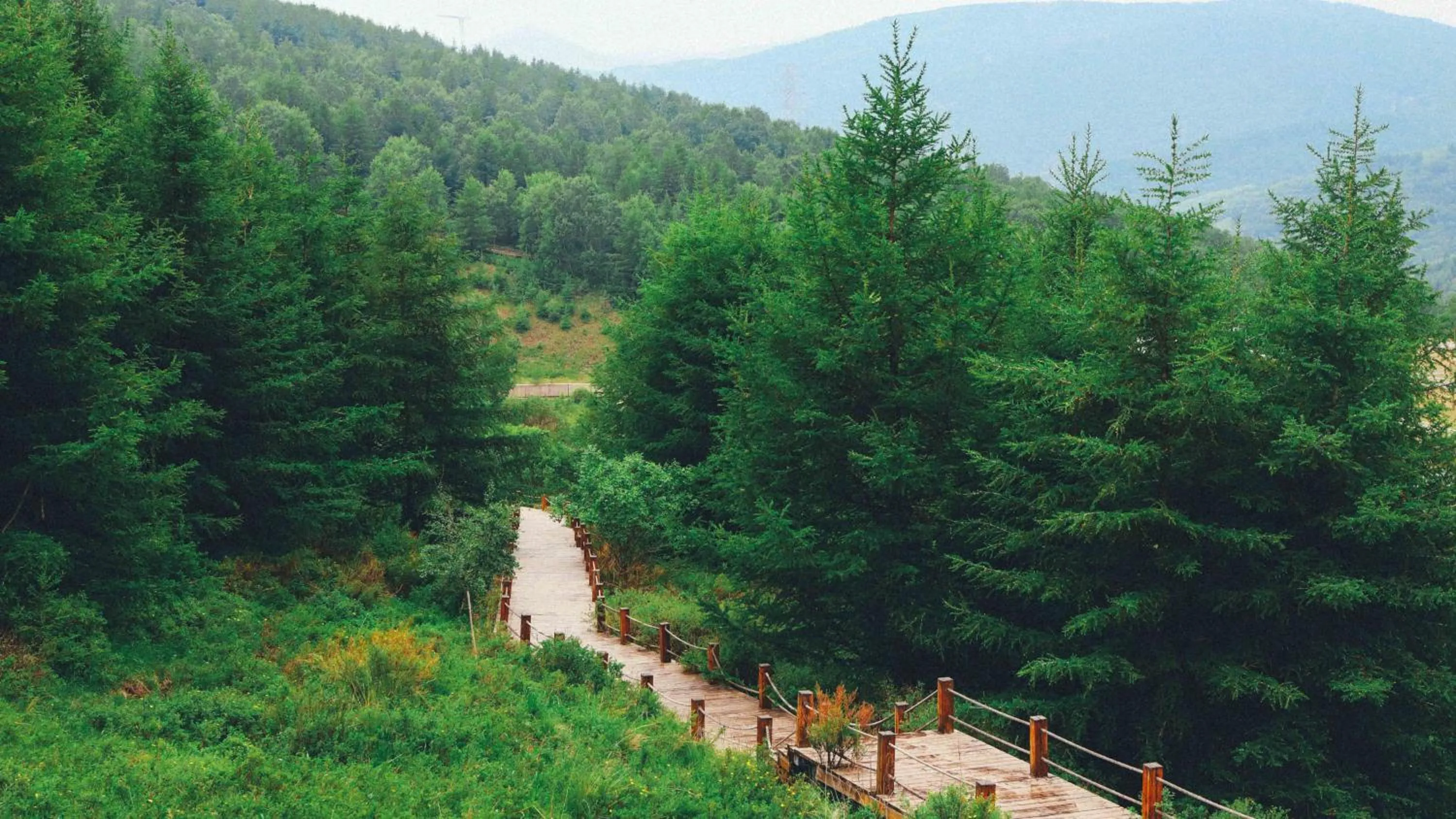 Other in Crowne Plaza Chongli Resort by IHG