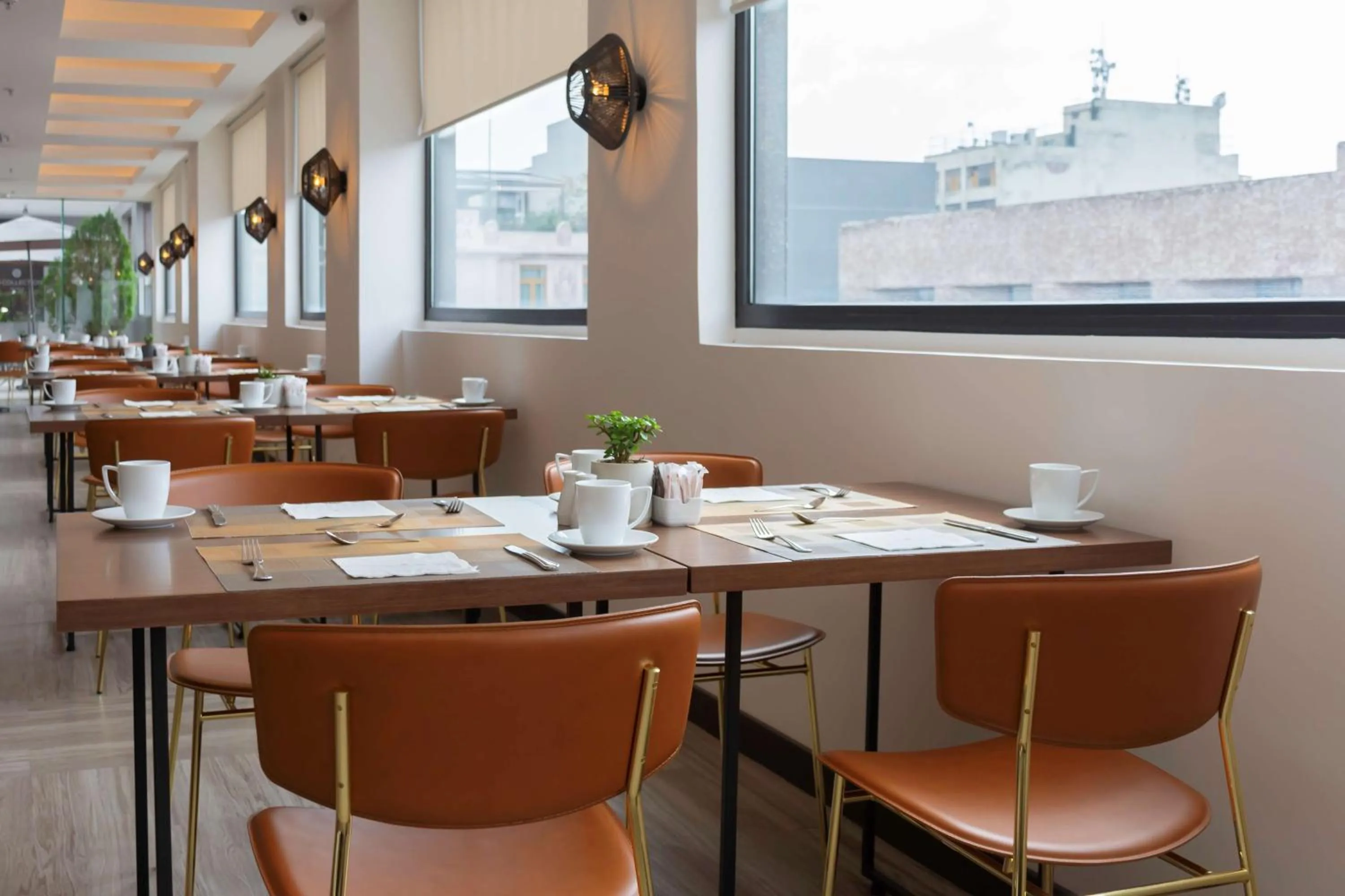 Restaurant/places to eat in NH Collection México City Centro Histórico