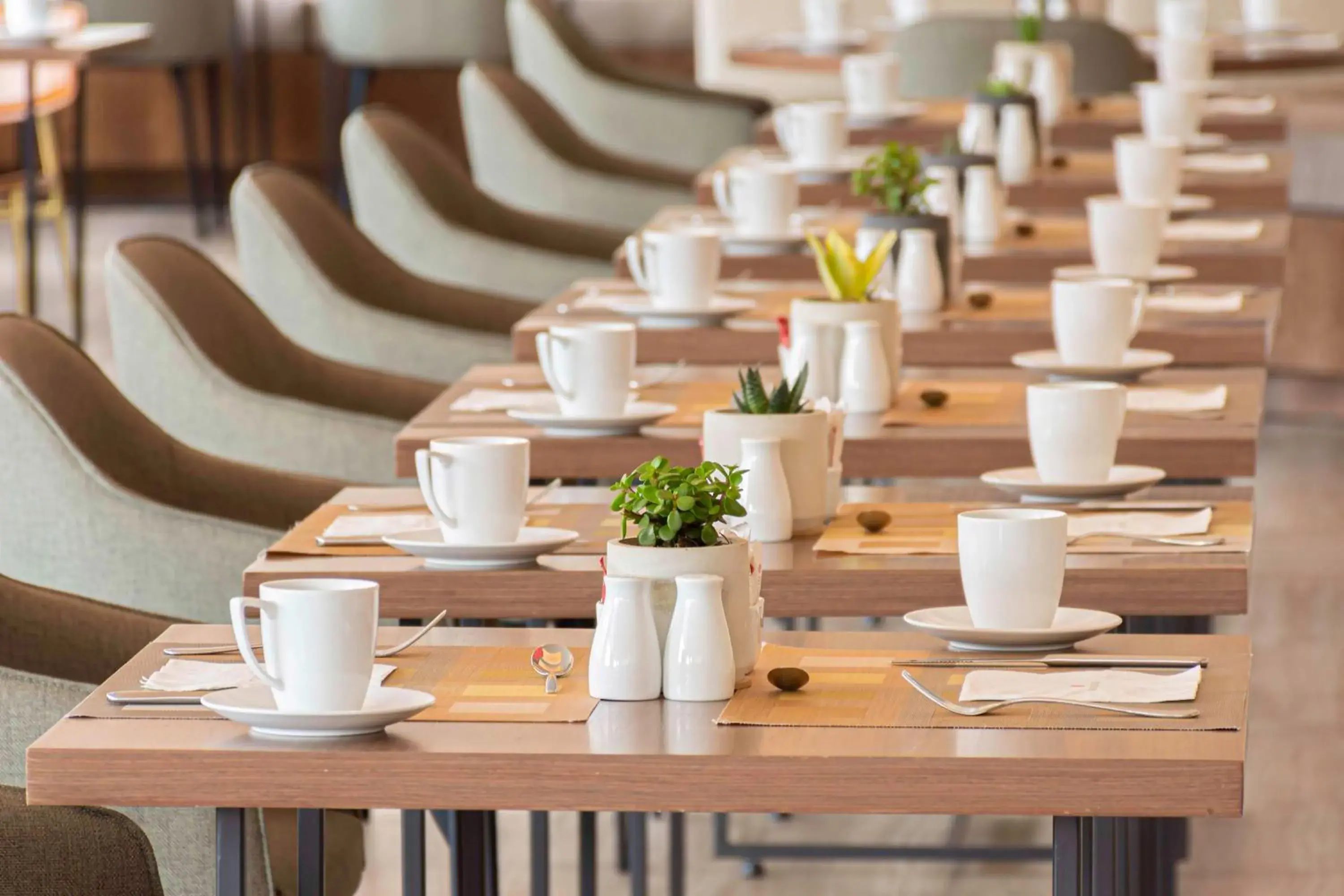 Breakfast in NH Collection México City Centro Histórico Breakfast in NH Collection México City Centro Histórico