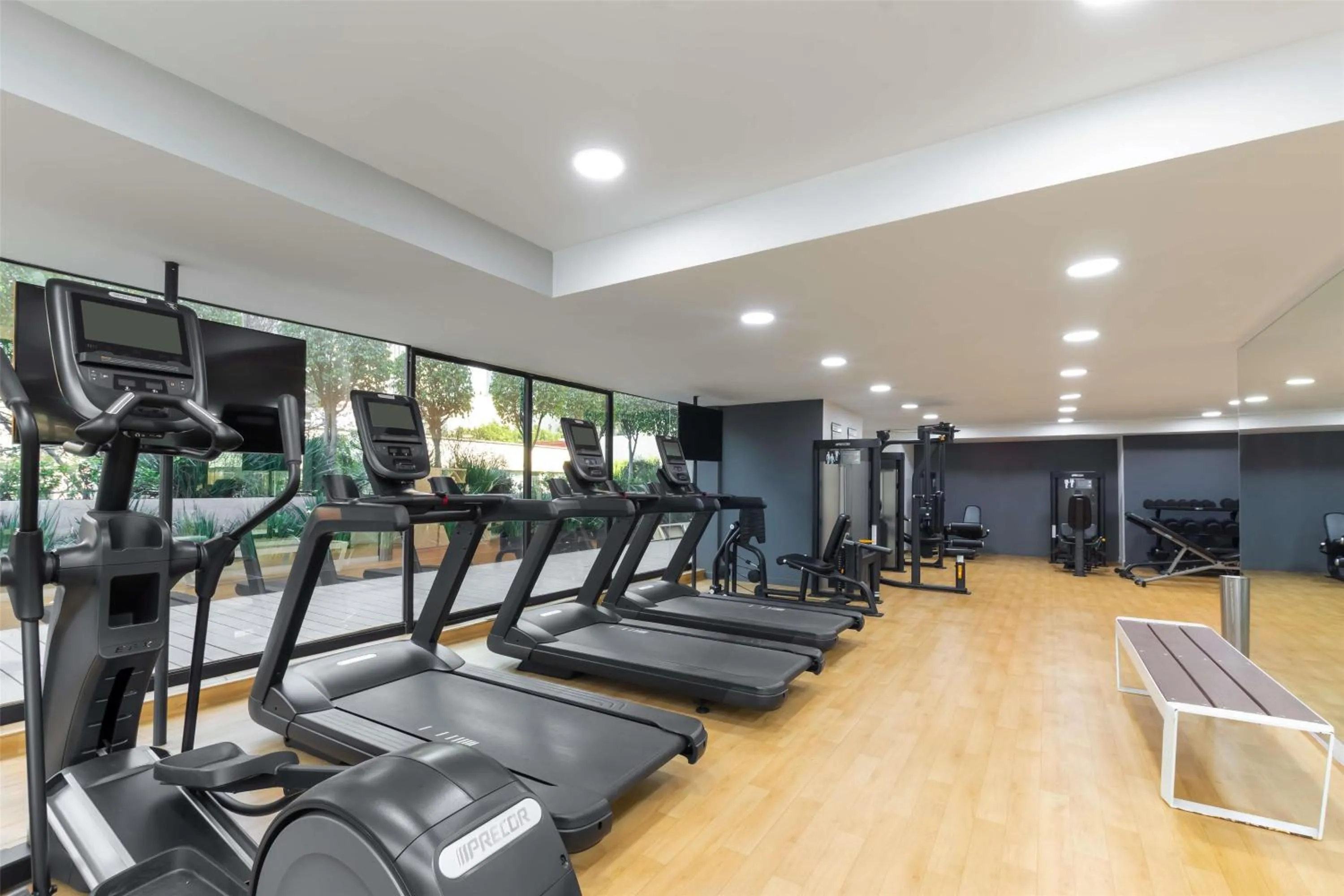 Fitness centre/facilities in NH Collection Mexico City Reforma