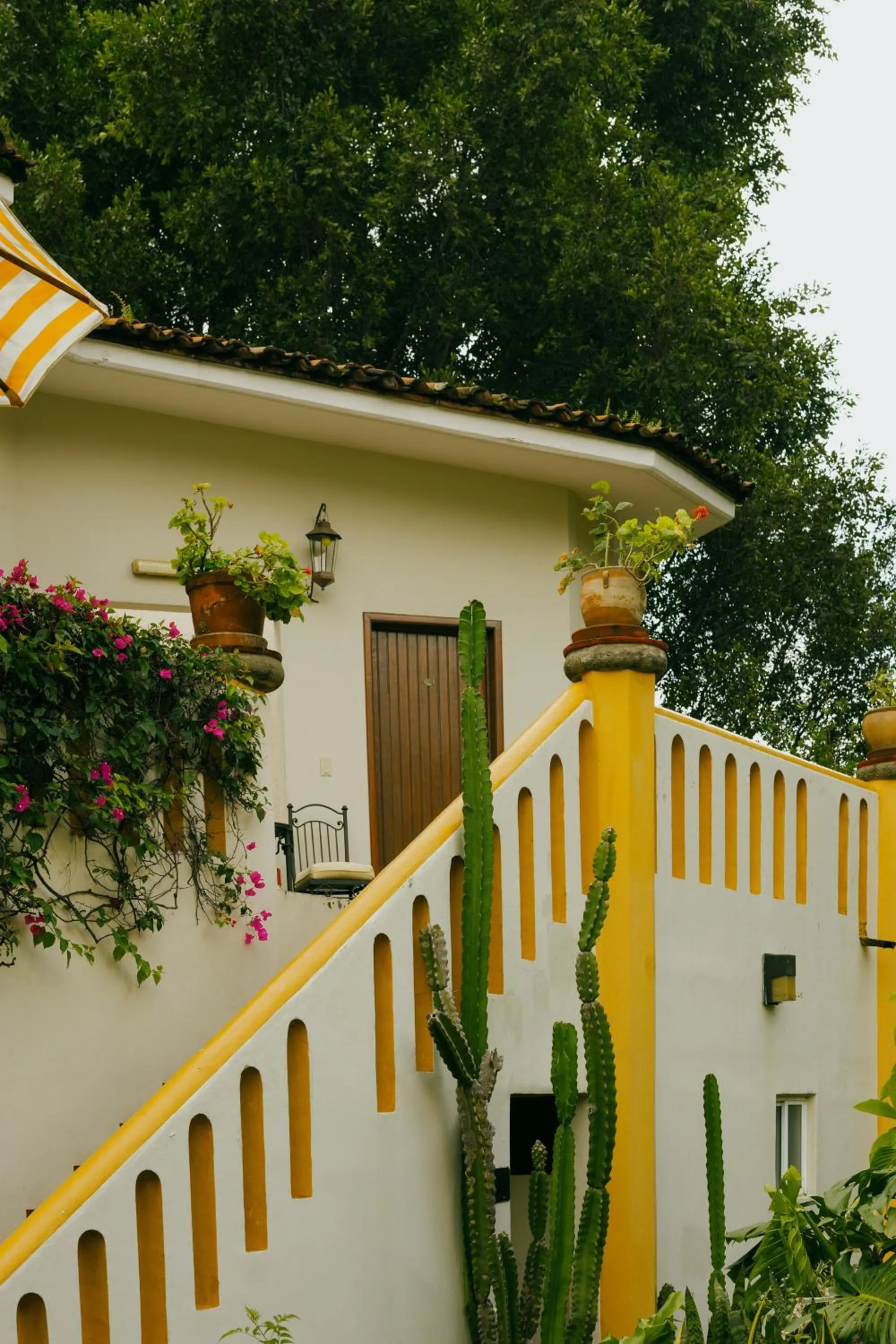 Balcony/Terrace in Hotel Hacienda Los Laureles