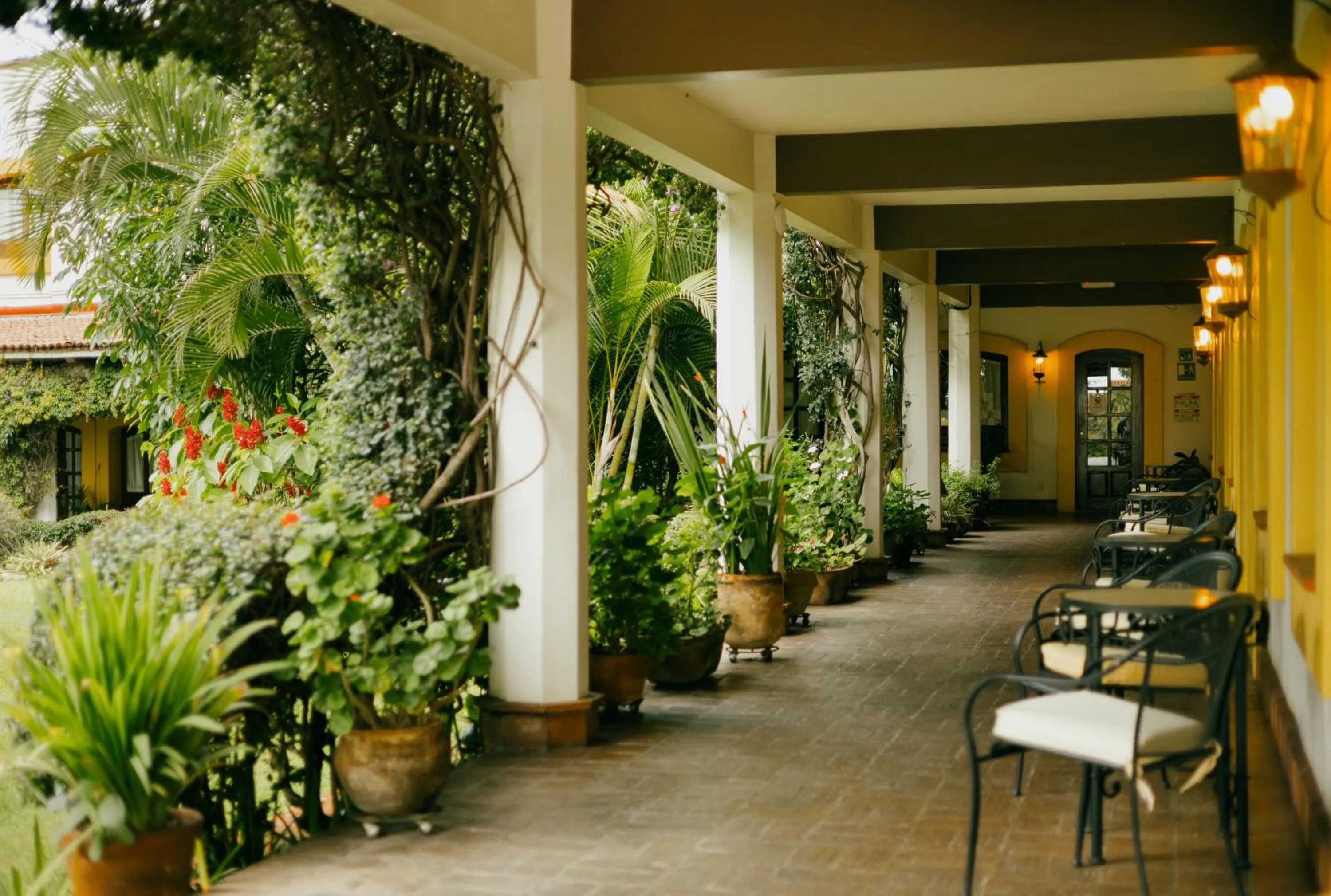 Garden view in Hotel Hacienda Los Laureles