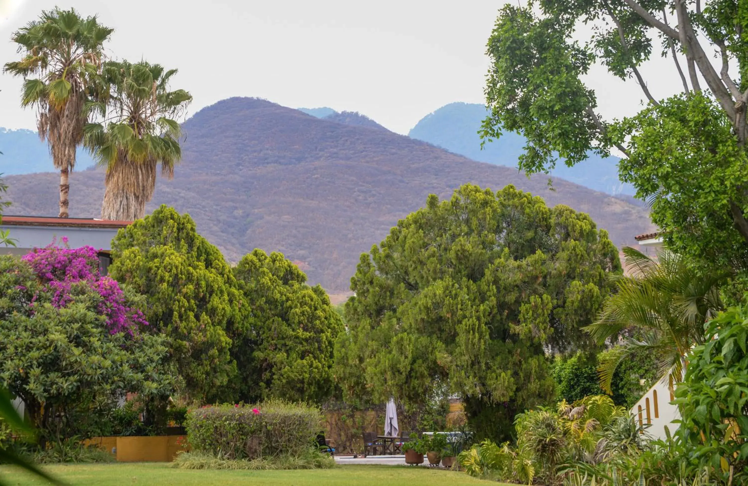 Hotel Hacienda Los Laureles Hotel Hacienda Los Laureles