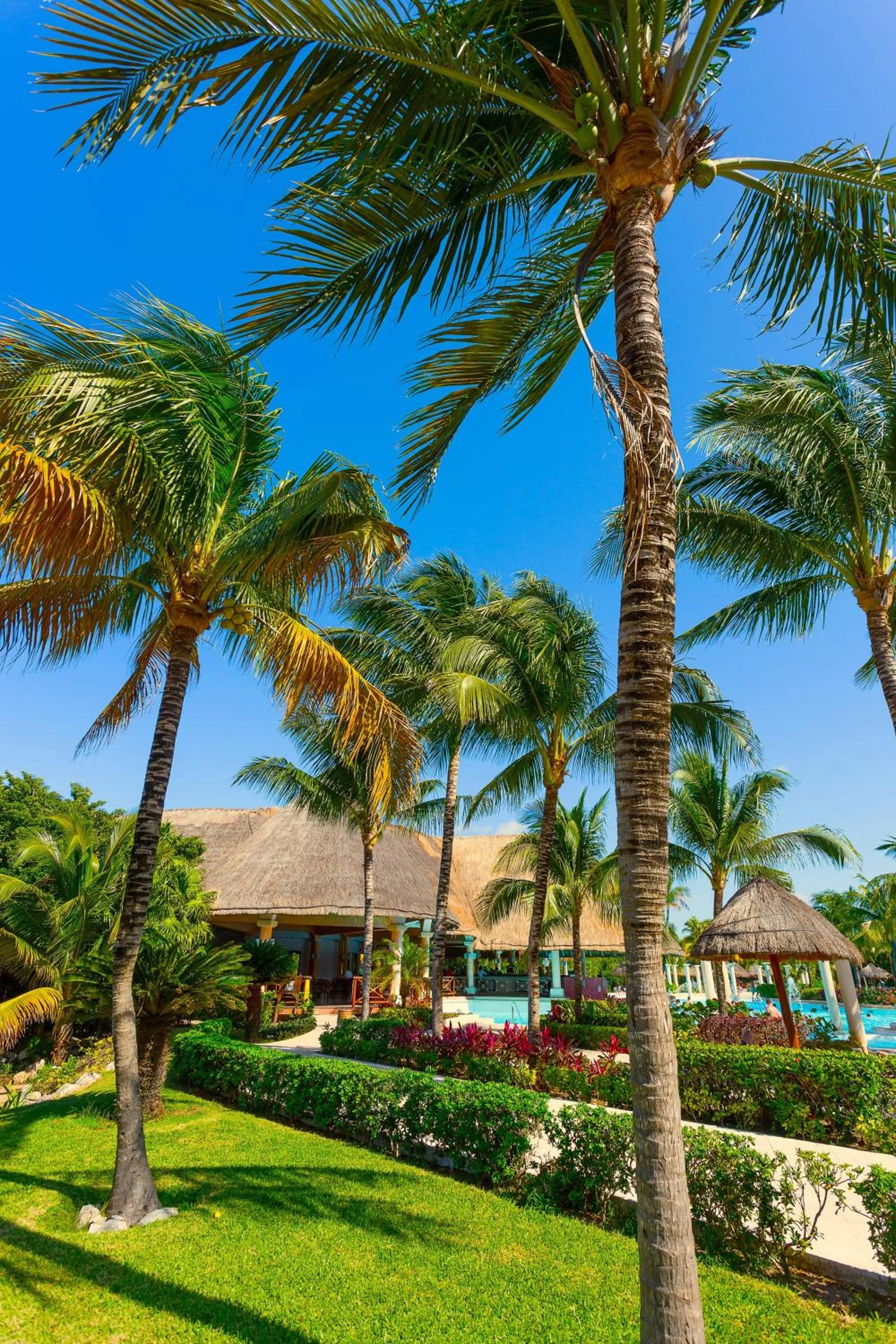 Garden in Grand Palladium Kantenah Resort & Spa - All Inclusive