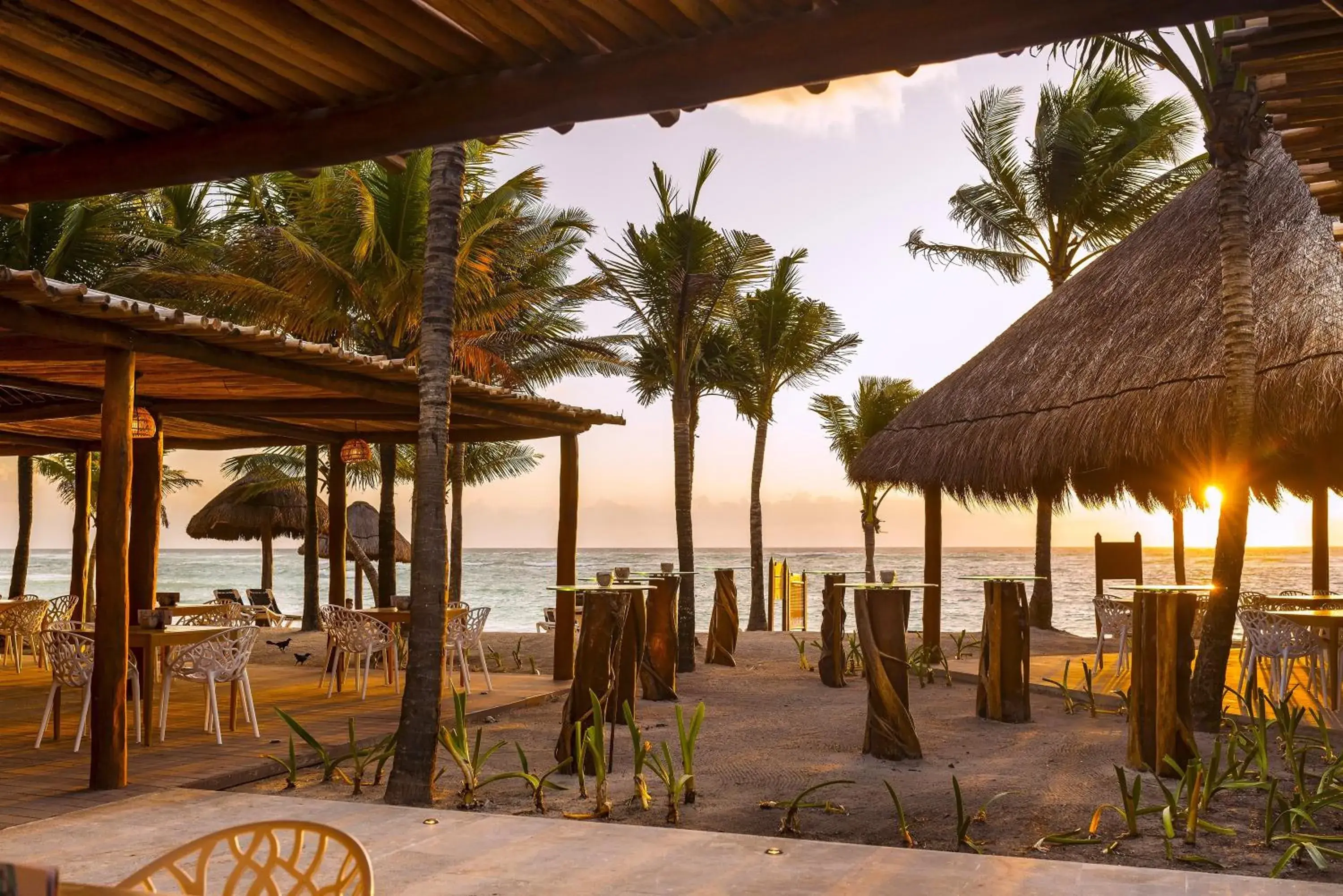 Lounge or bar in Grand Palladium Kantenah Resort & Spa - All Inclusive Lounge or bar in Grand Palladium Kantenah Resort & Spa - All Inclusive