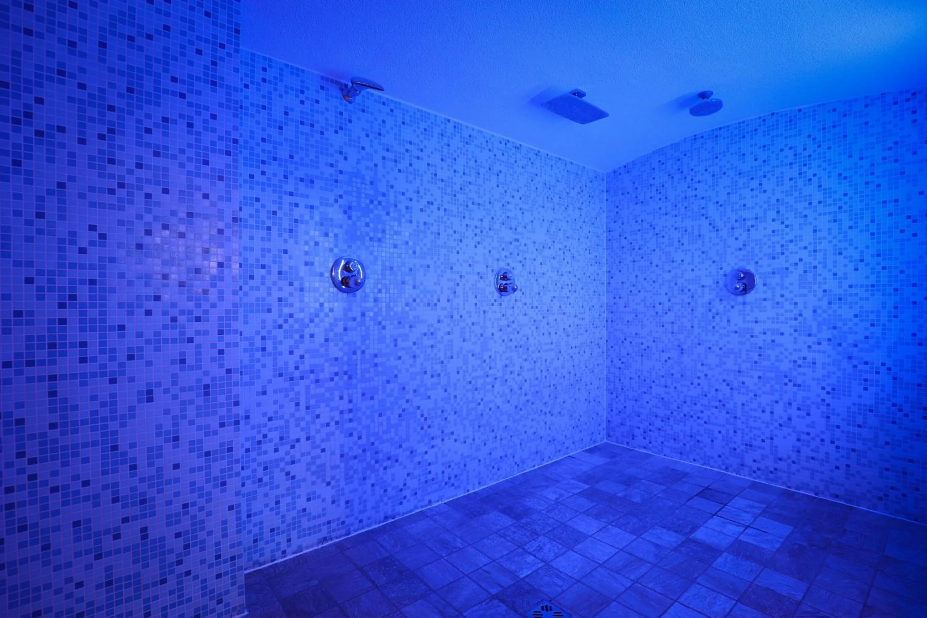 Spa and wellness centre/facilities in Active & Wellness Hotel Subterra