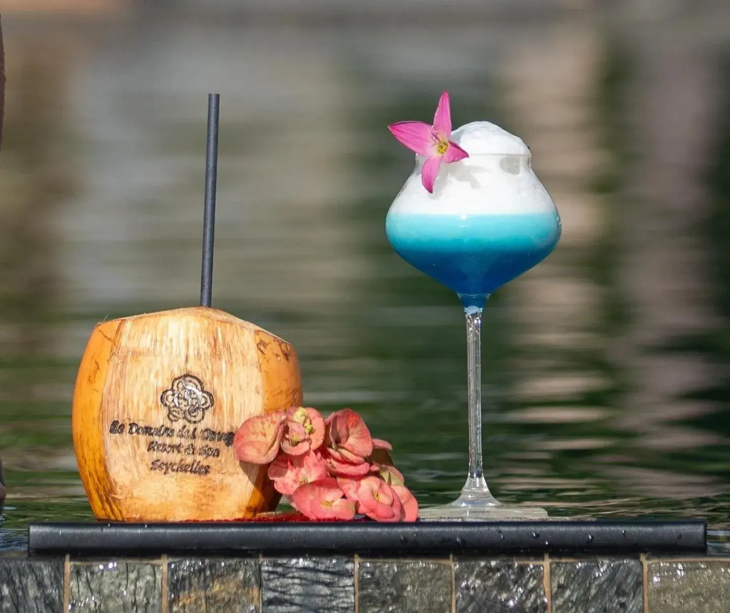 Lounge or bar in Le Domaine de L'Orangeraie Resort and Spa Lounge or bar in Le Domaine de L'Orangeraie Resort and Spa