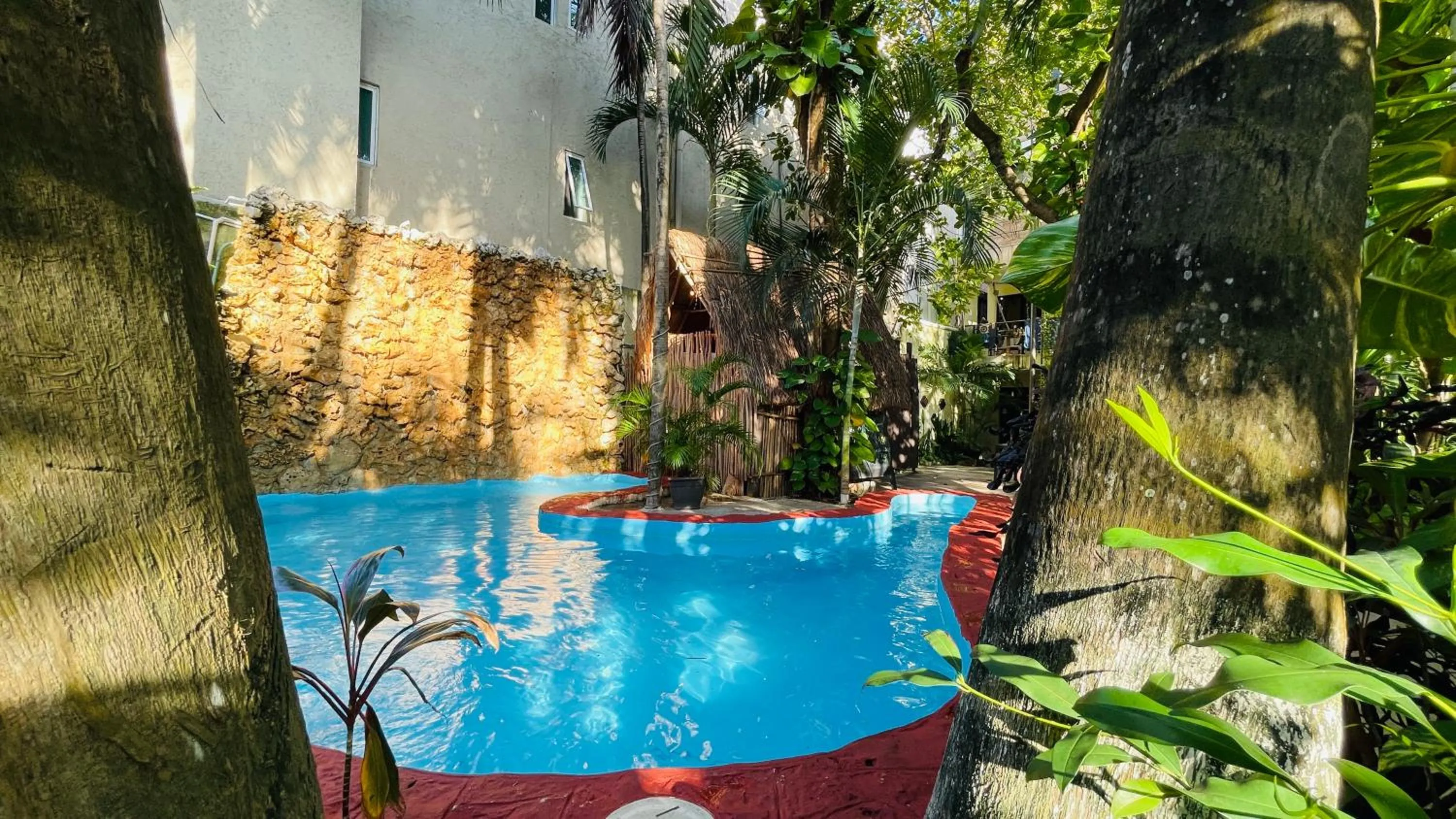 Pool view in Hotel B&B - 5th Avenue