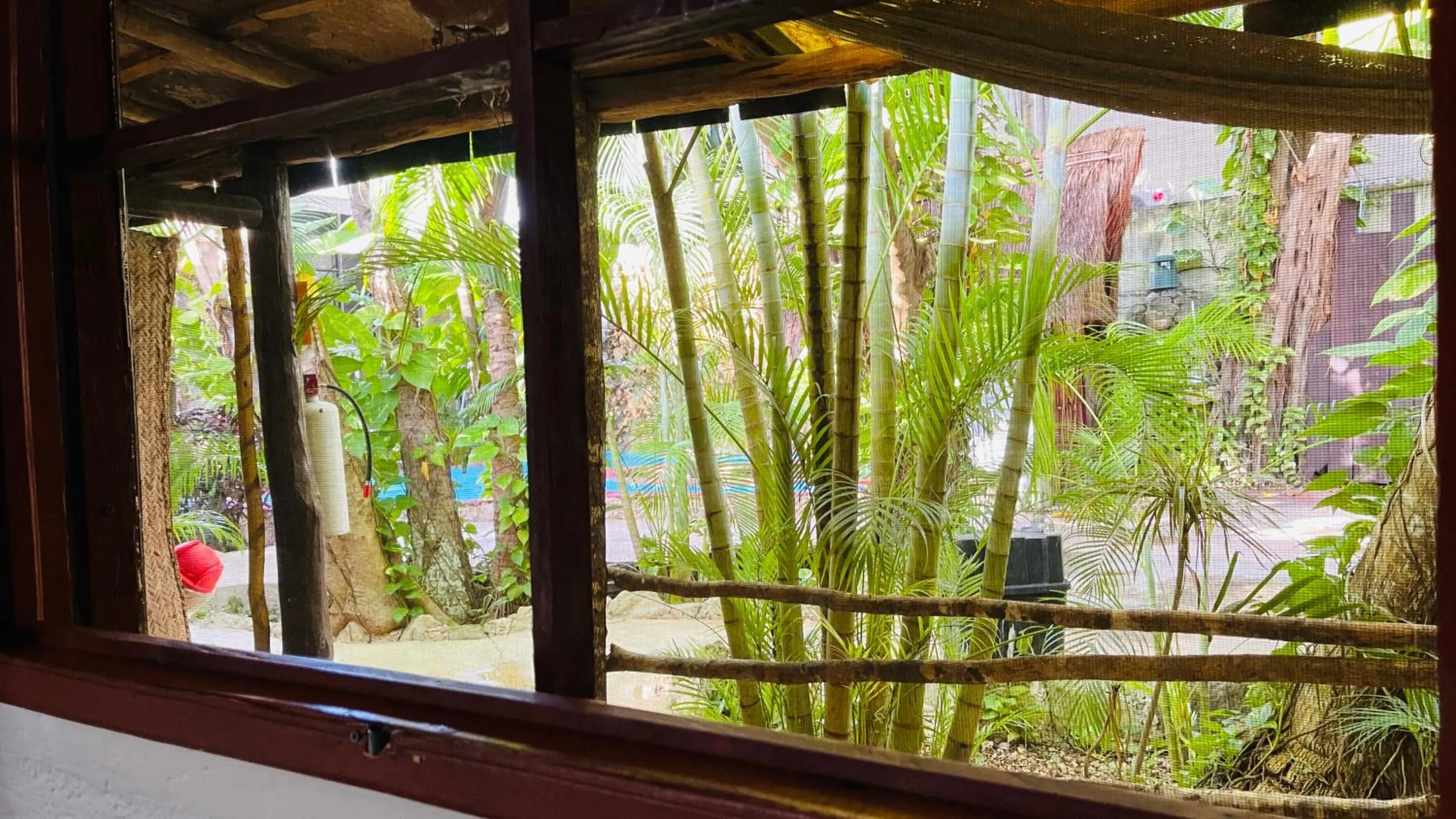 Garden view in Hotel B&B - 5th Avenue