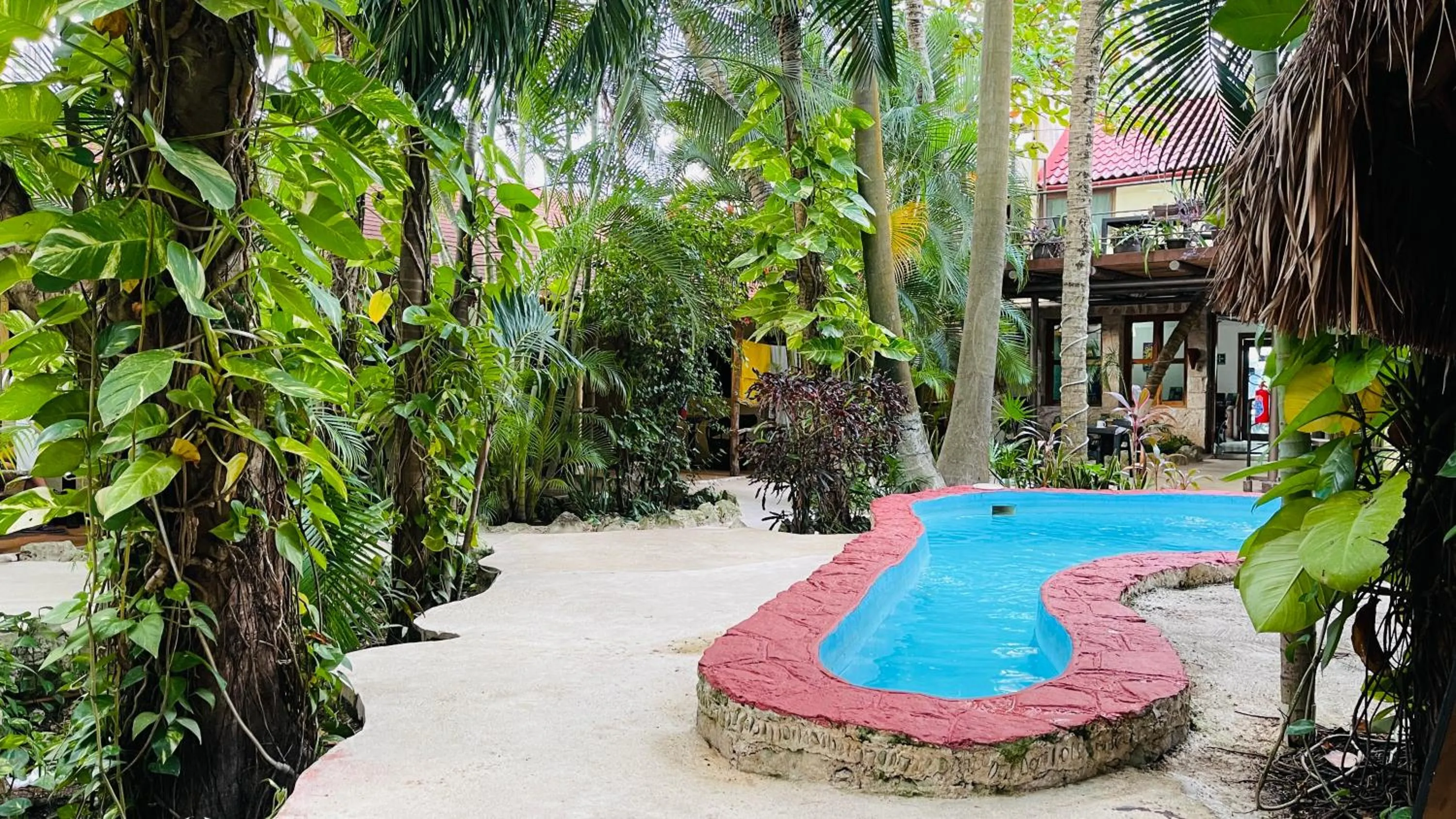 Pool view in Hotel B&B - 5th Avenue