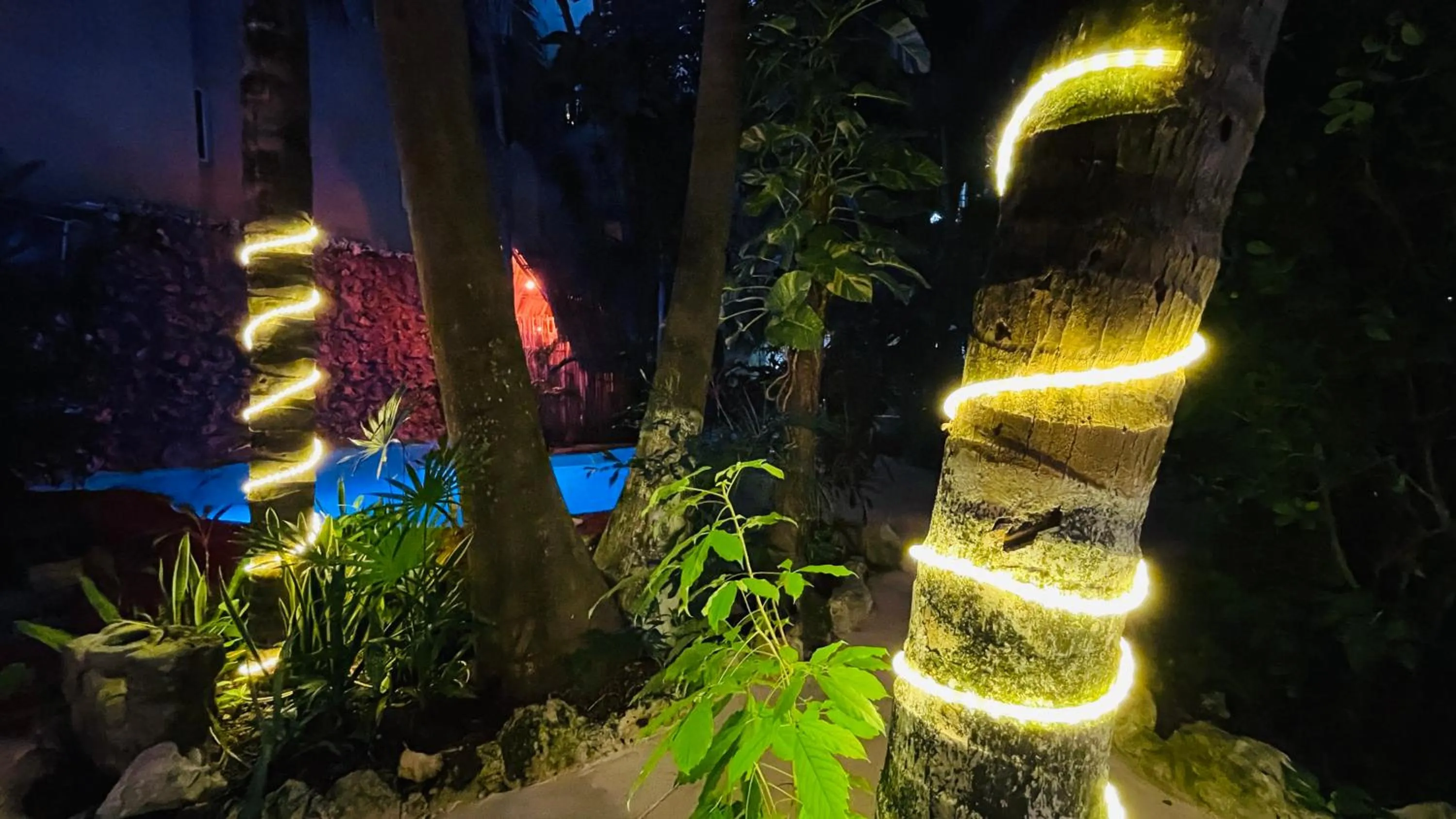 Night in Hotel B&B - 5th Avenue