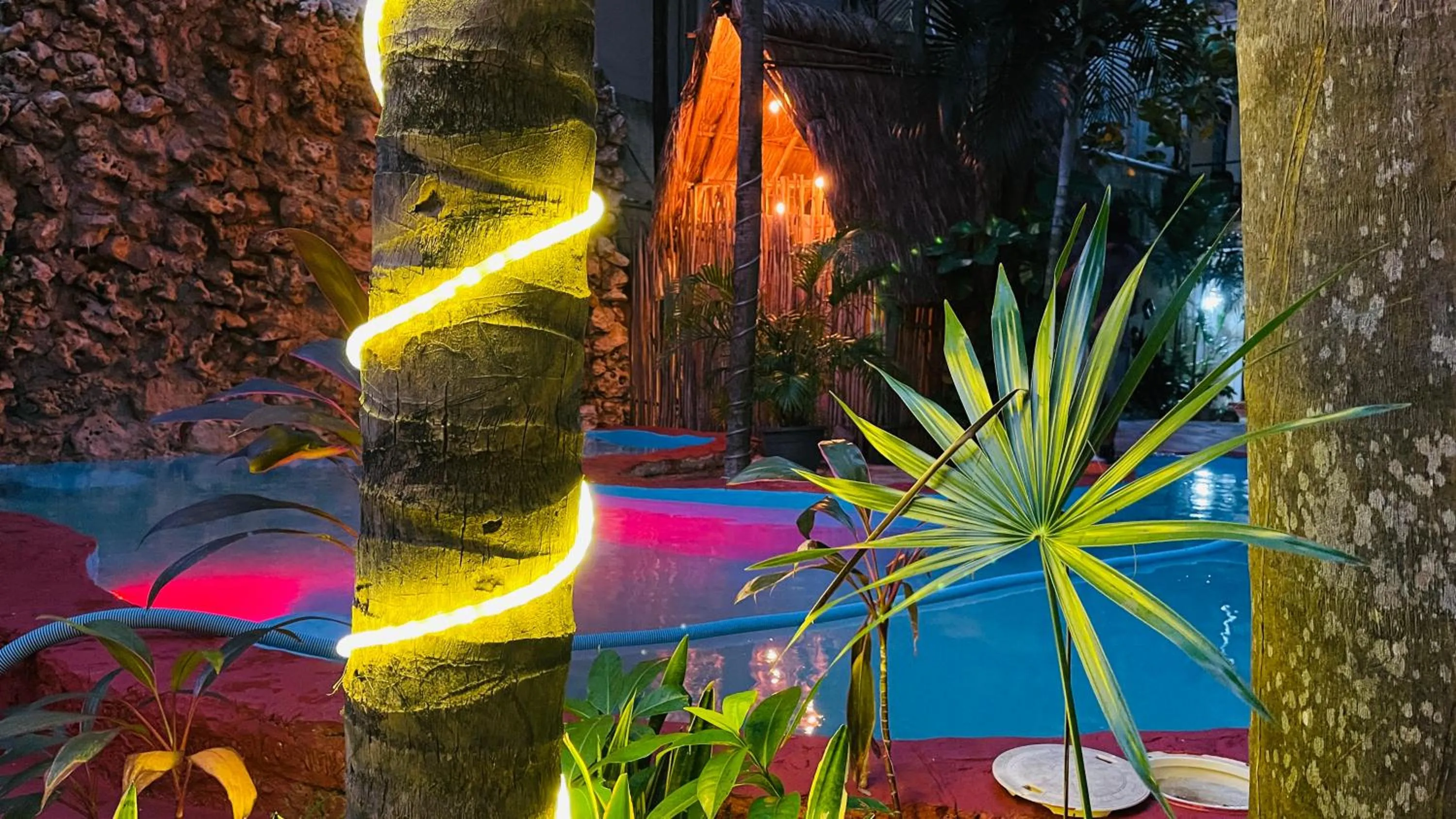 Swimming pool in Hotel B&B - 5th Avenue