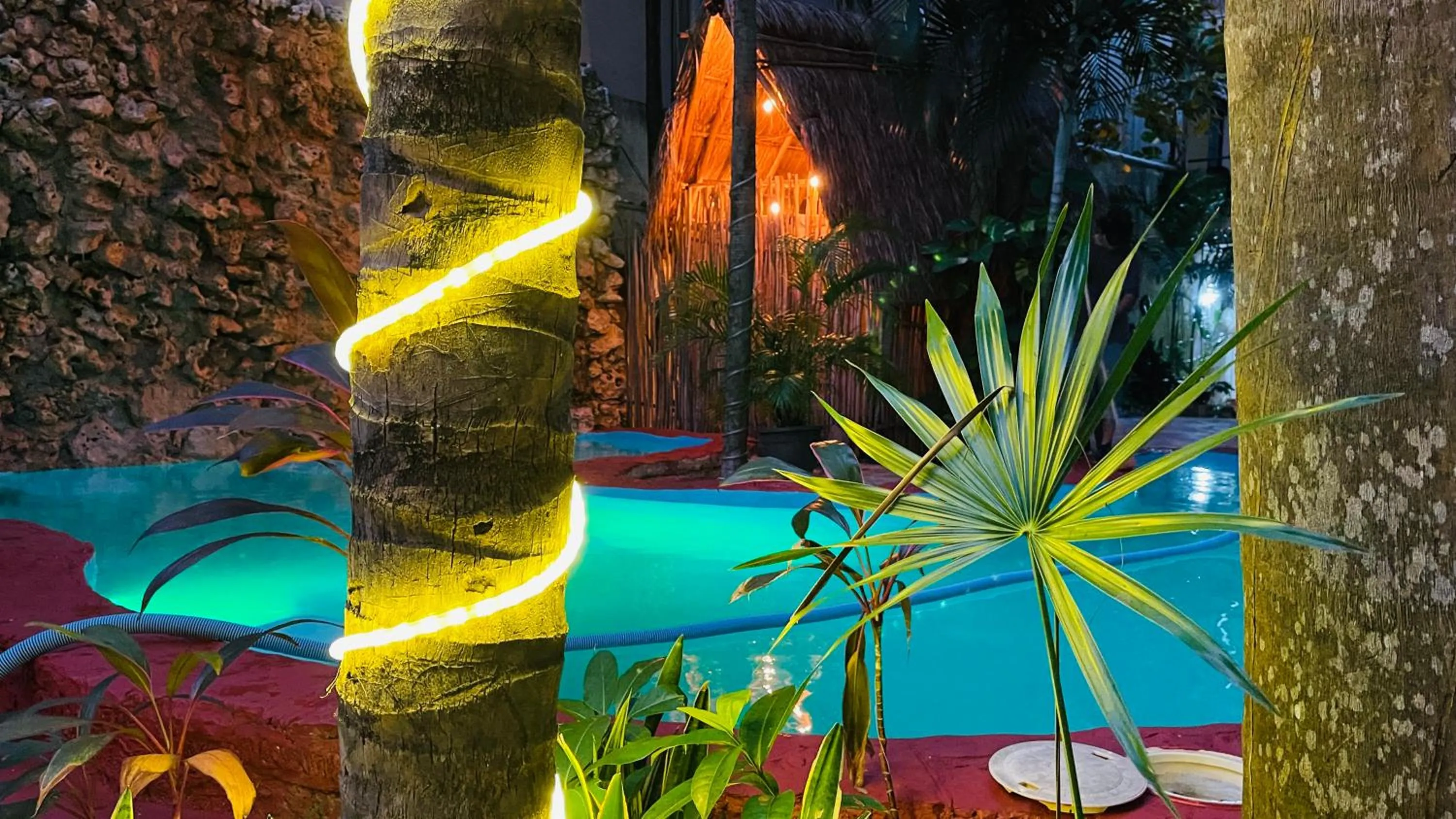 Pool view in Hotel B&B - 5th Avenue