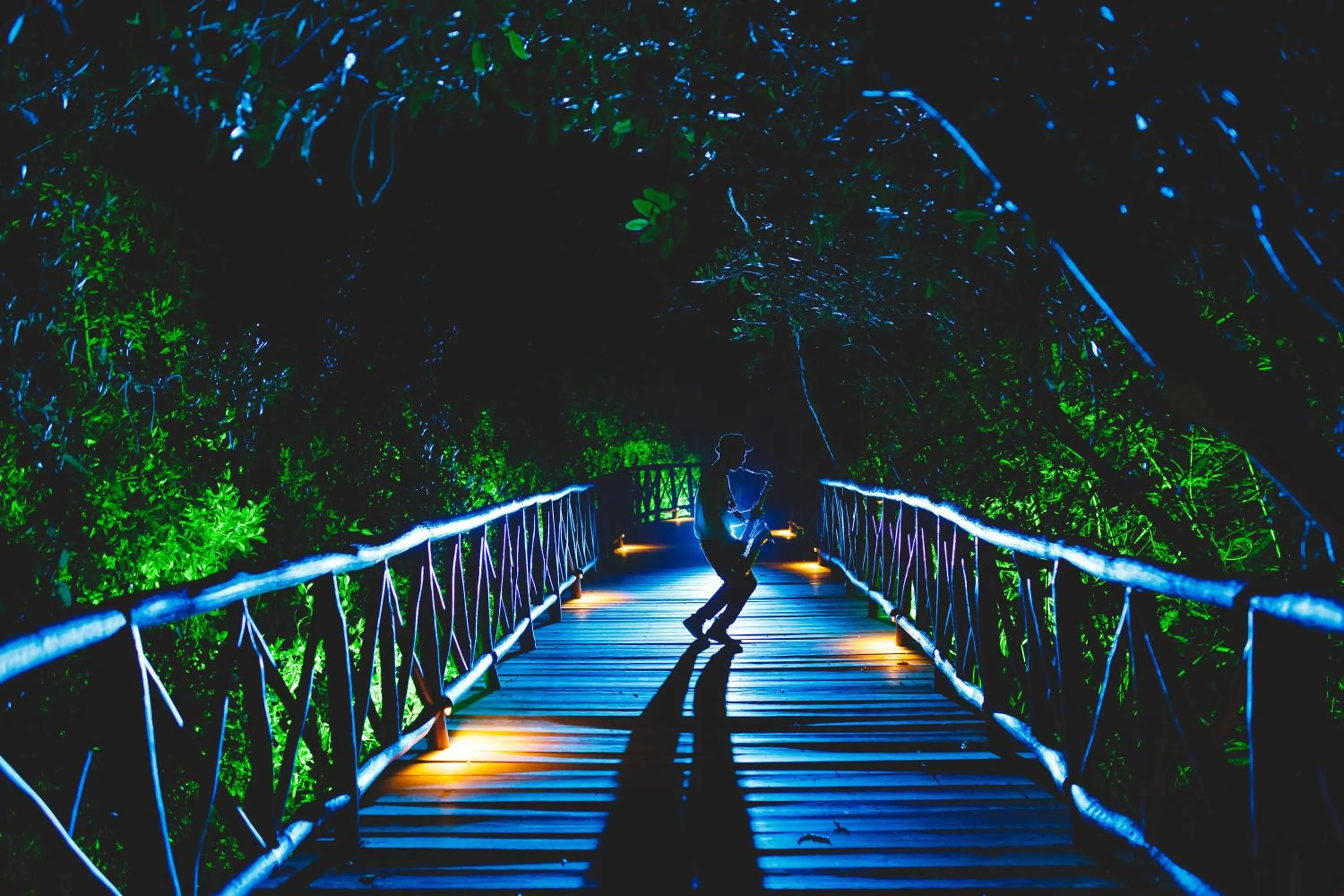 Garden in Catalonia Royal Tulum Beach & Spa Resort Adults Only - All Inclusive