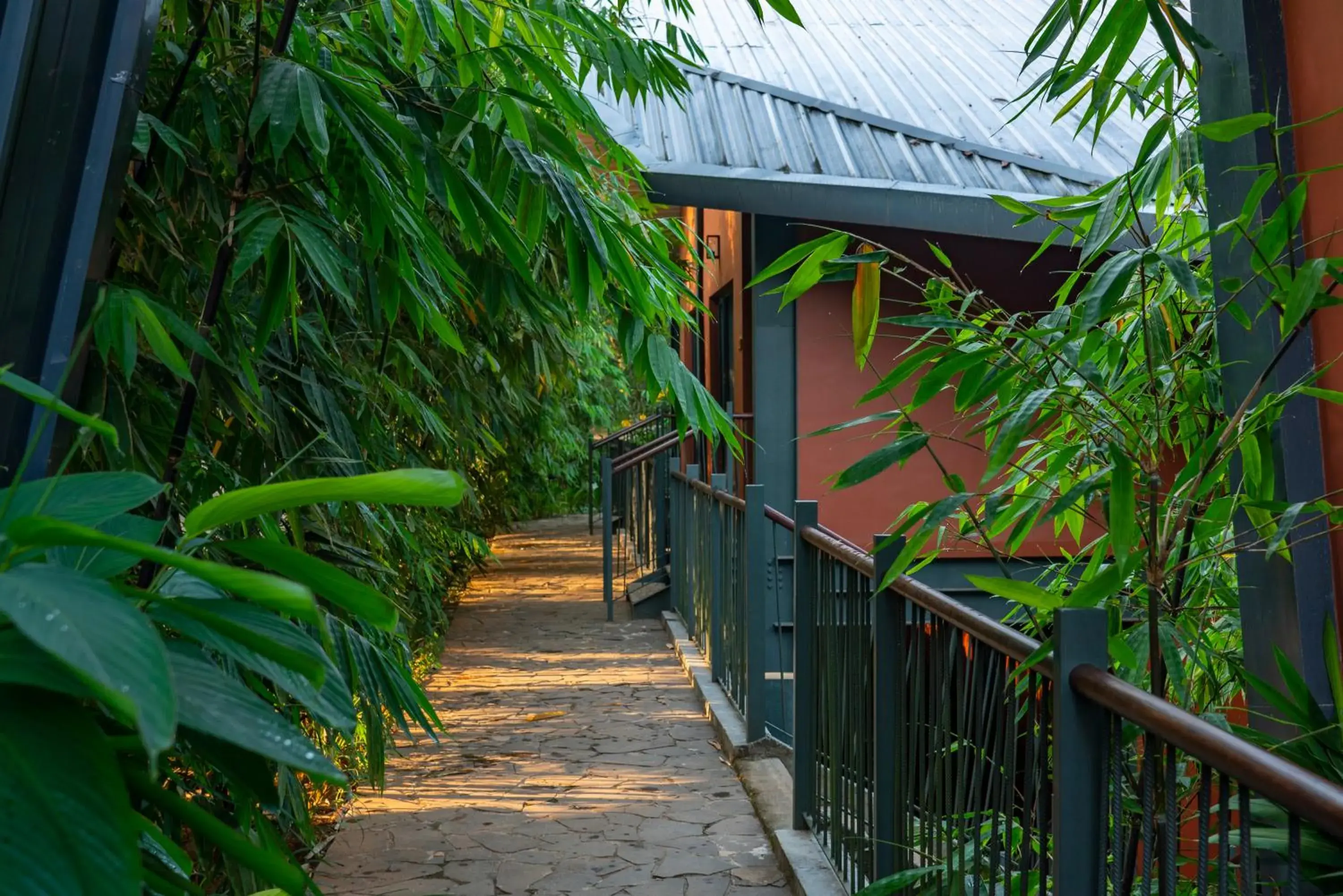 Property building in Vyna Hillock Resort and Spa Property building in Vyna Hillock Resort and Spa