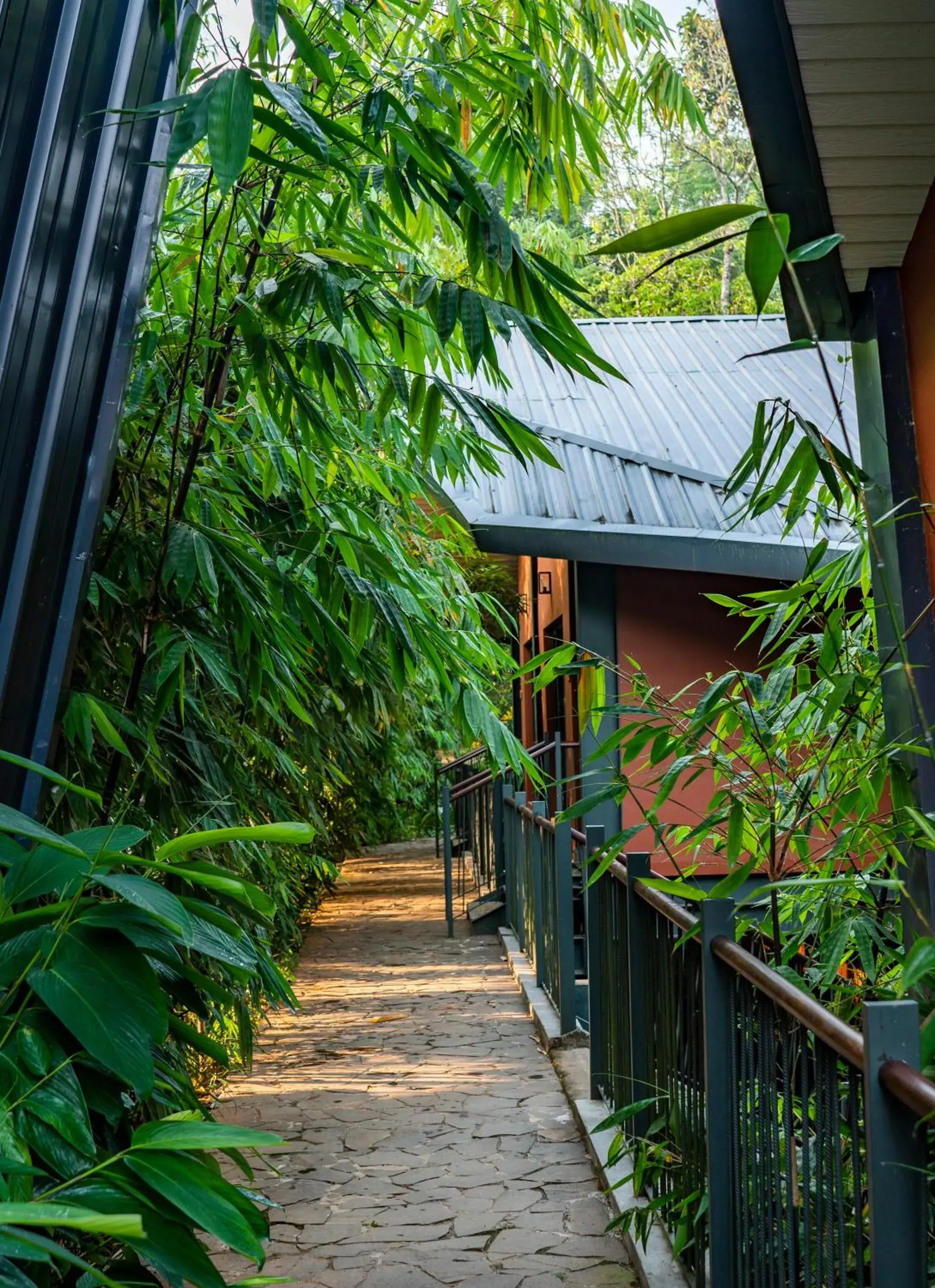 Property building in Vyna Hillock Resort and Spa Property building in Vyna Hillock Resort and Spa