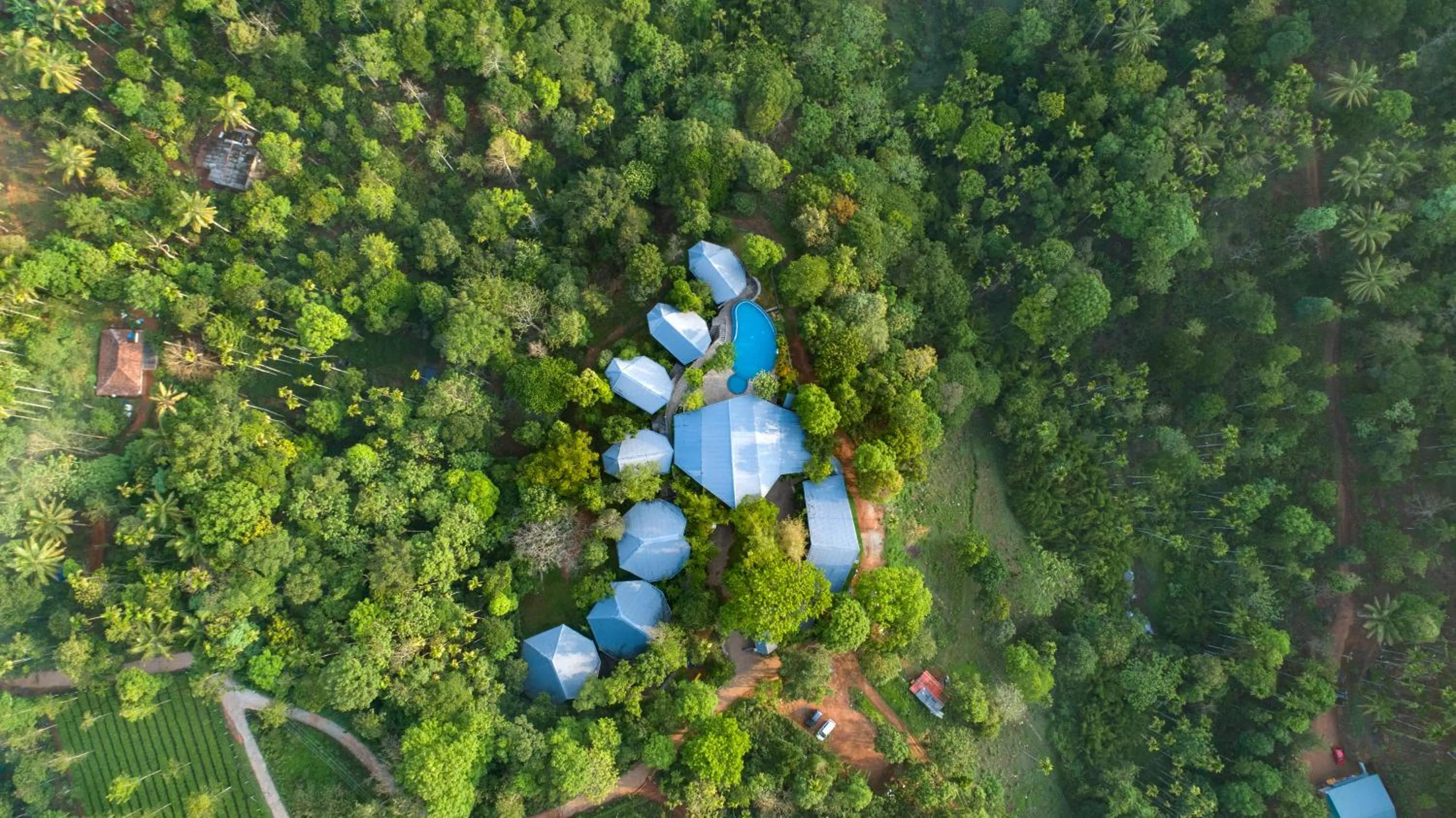 Day in Vyna Hillock Resort