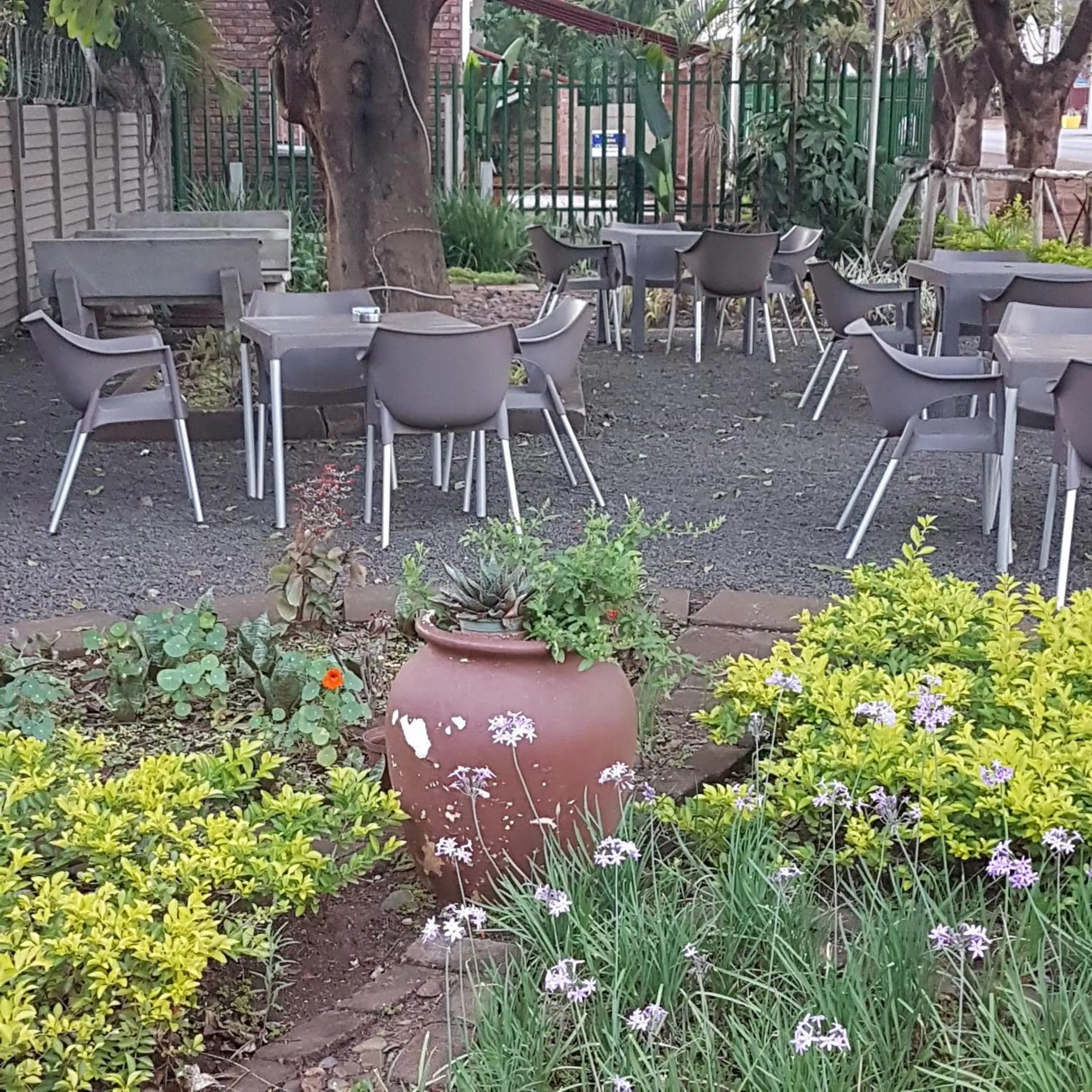 Breakfast in Stoep Cafe Guest House