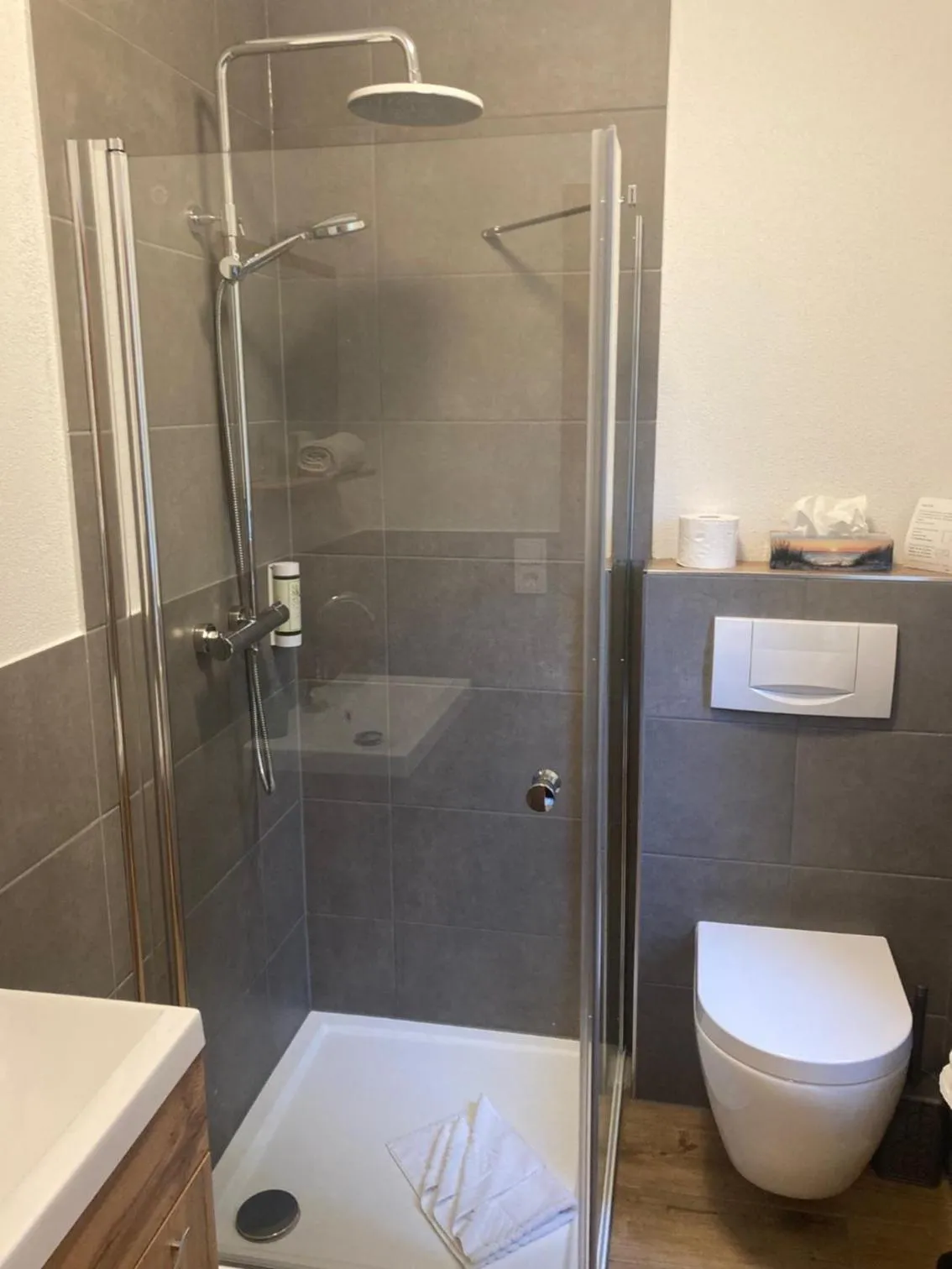 Shower in Hotel zur Schlemmerscheune