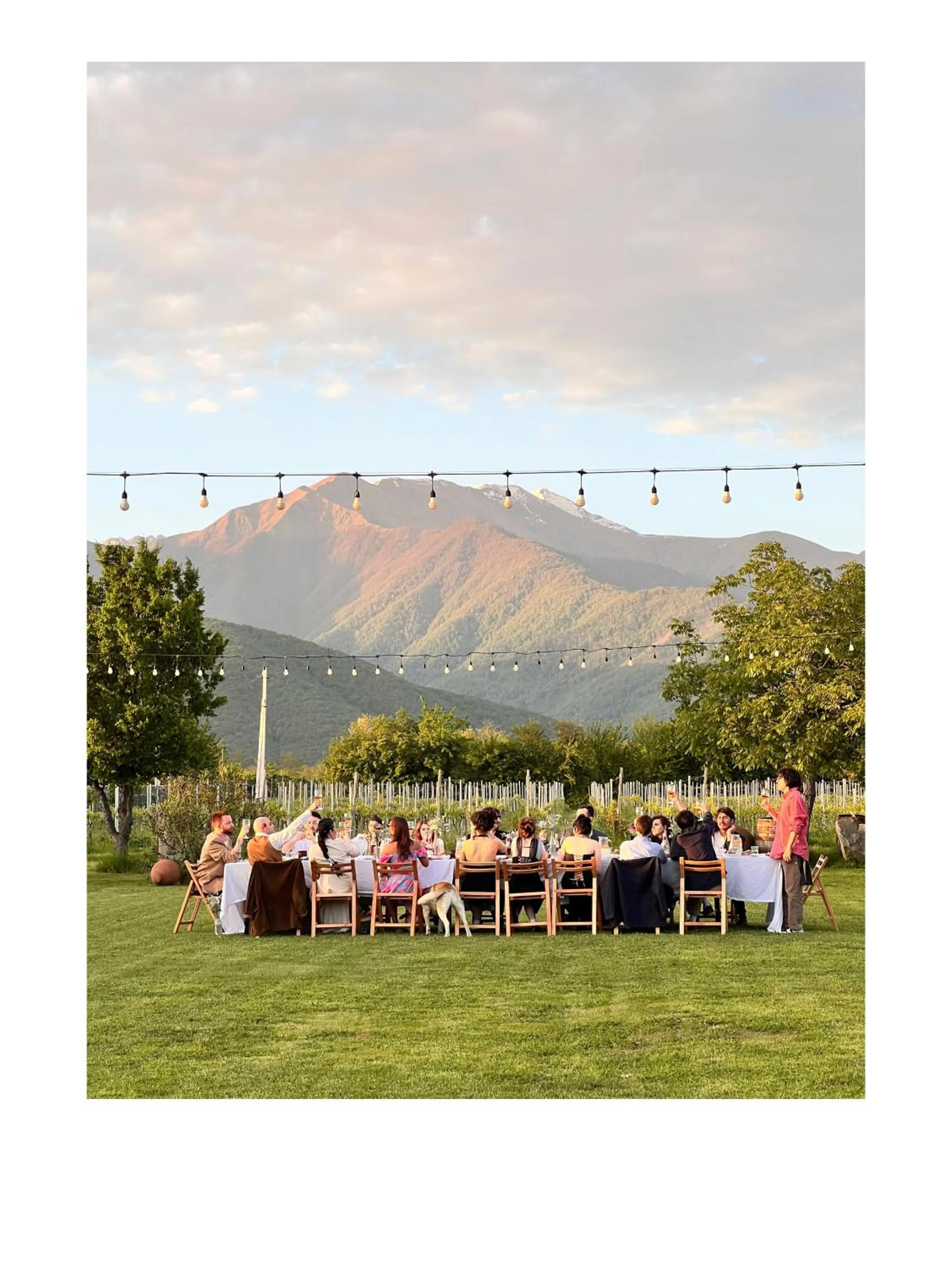 Garden in Chubini Winery & Cabins
