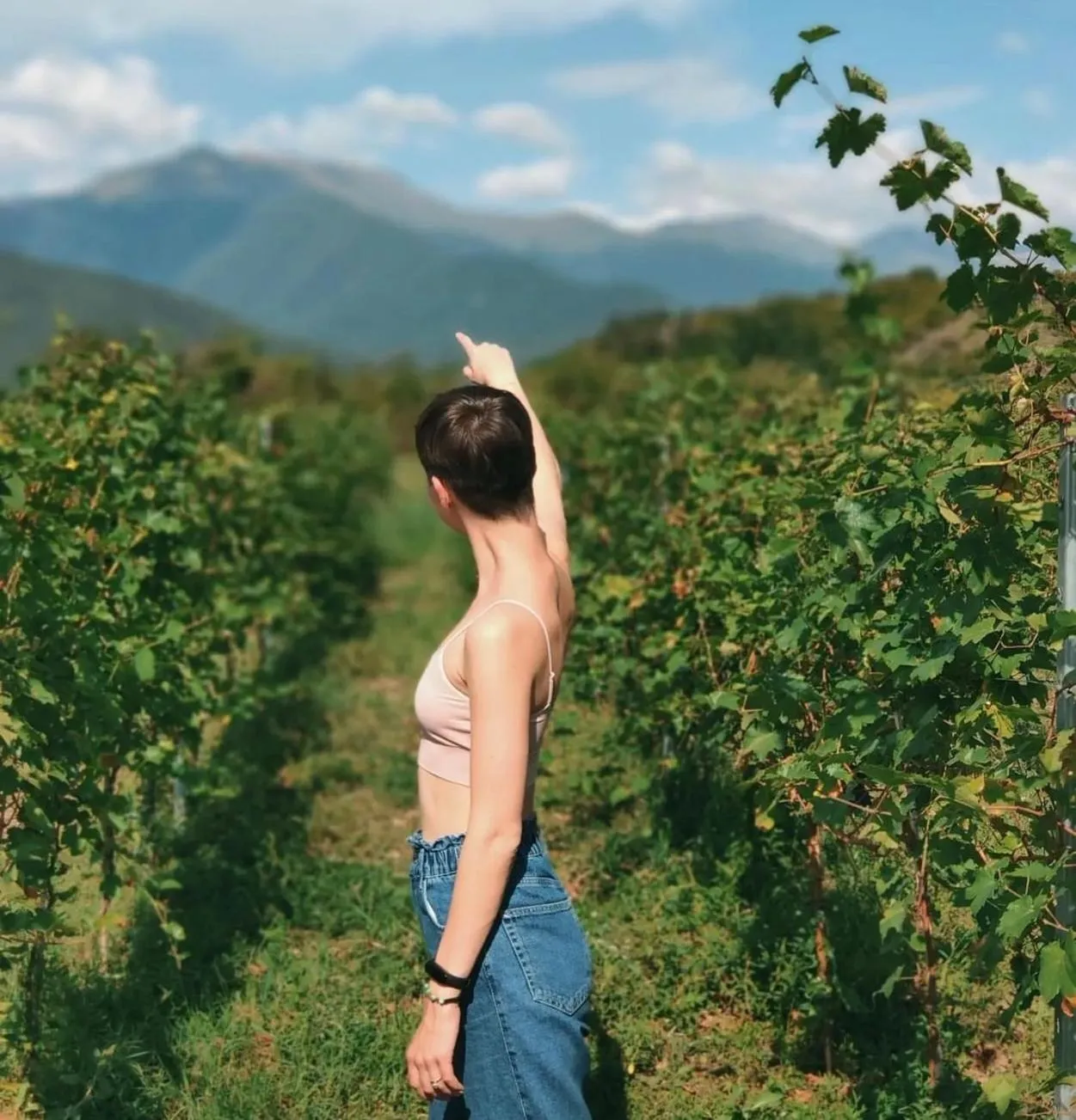 Garden in Chubini Winery & Cabins