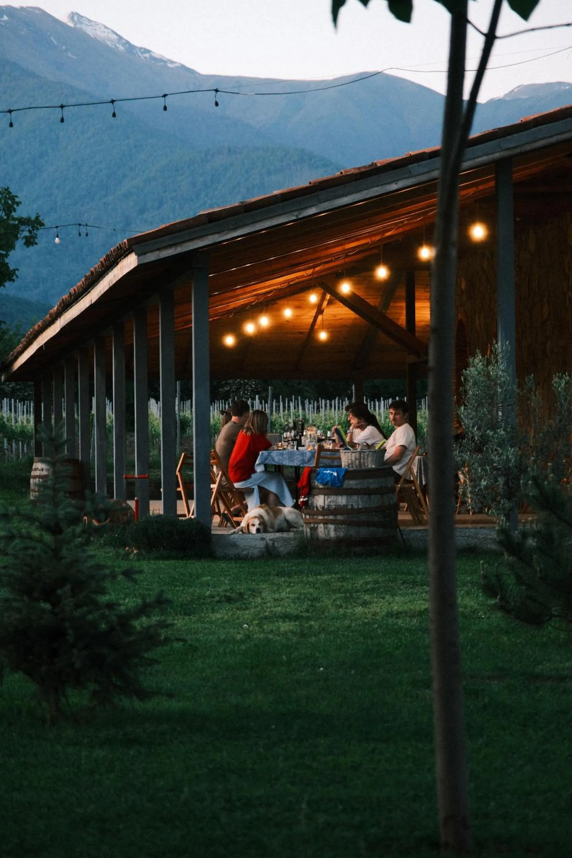 Chubini Winery & Cabins