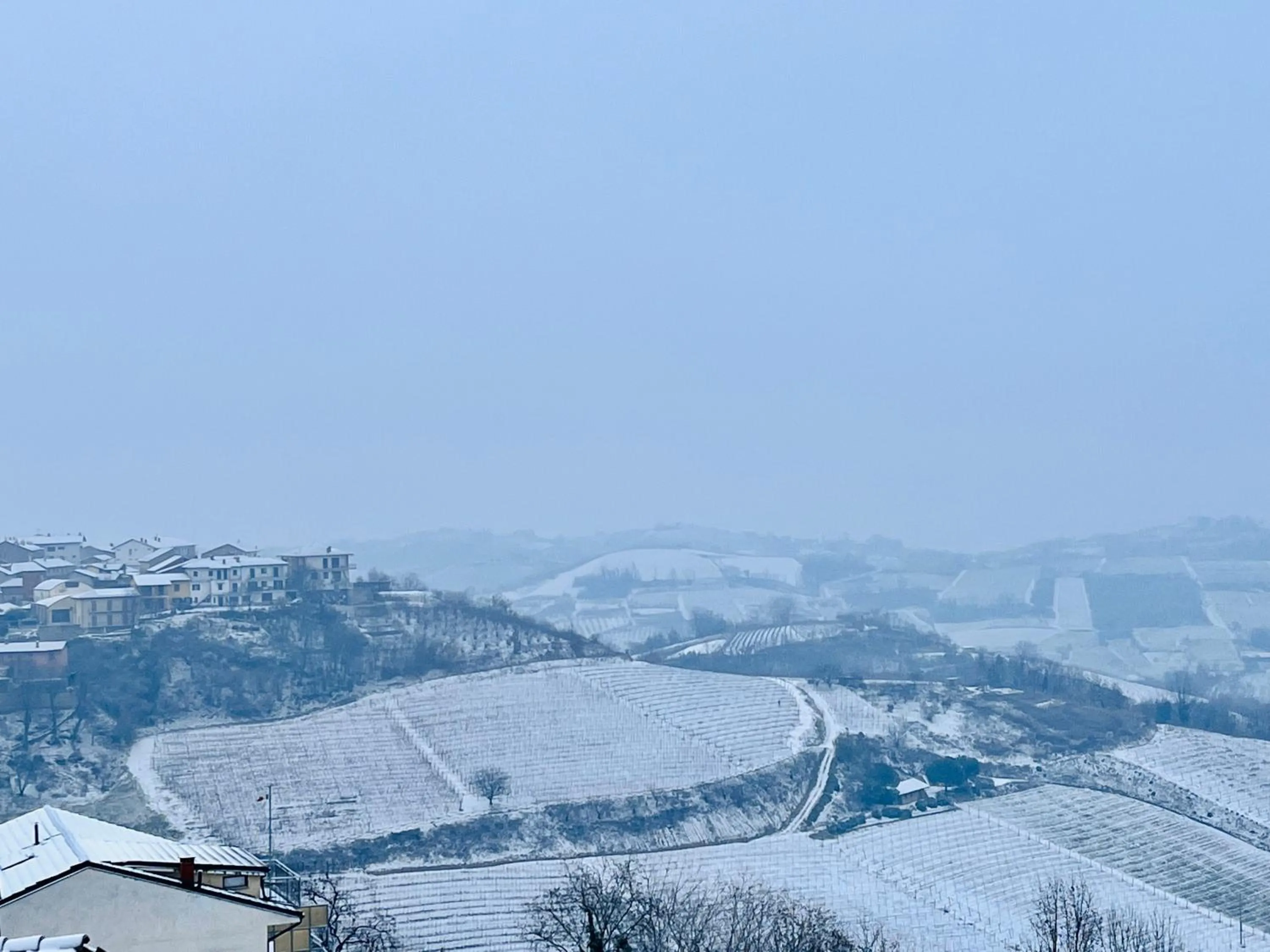 Natural landscape in Villa Nonna Cicci Boutique Hotel - SPA