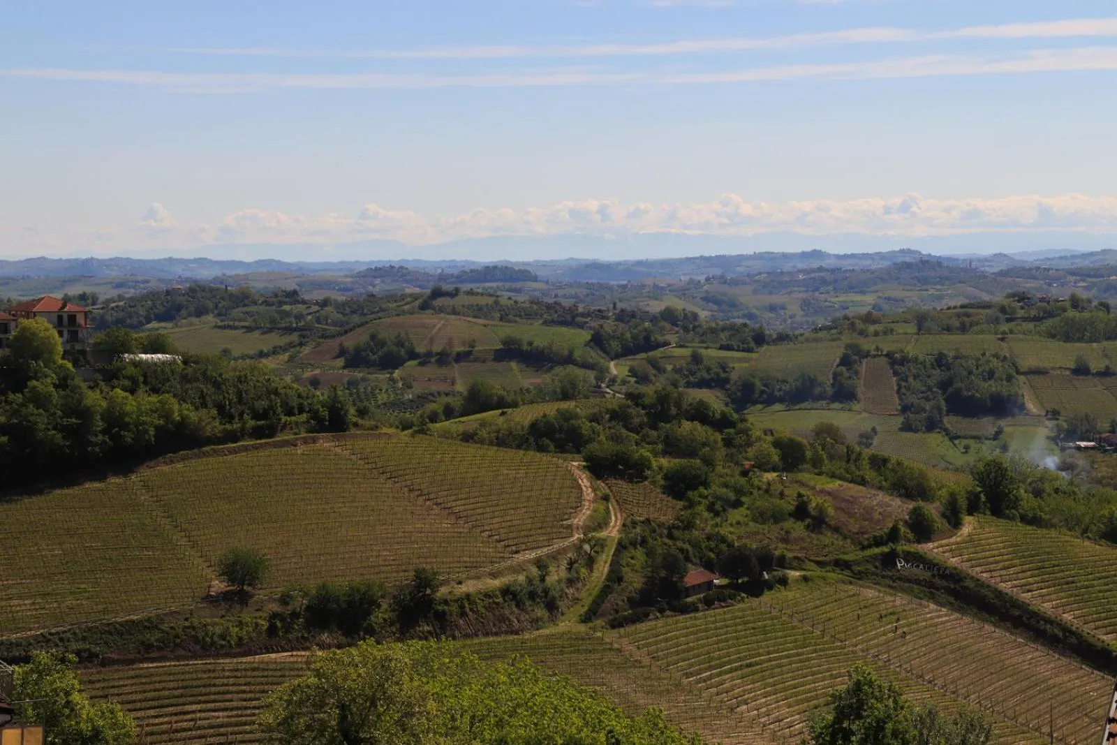 View (from property/room) in Villa Nonna Cicci Boutique Hotel - SPA