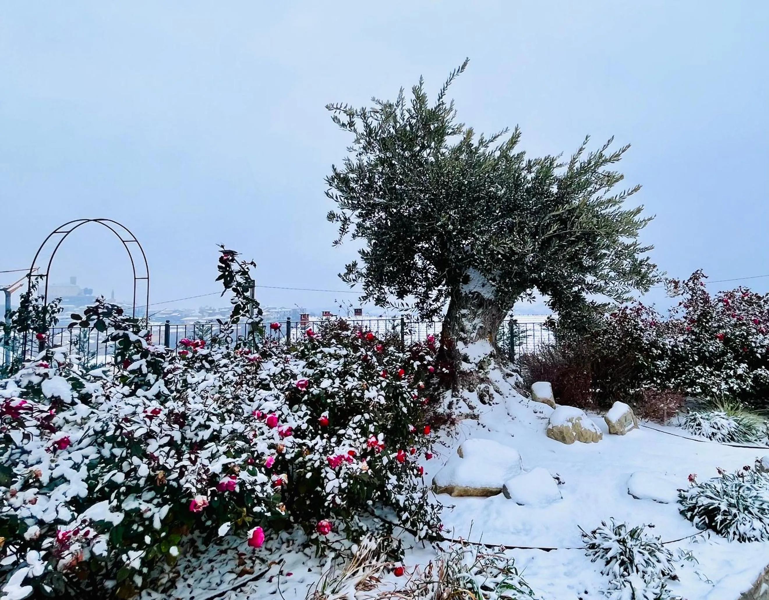 Natural landscape in Villa Nonna Cicci Boutique Hotel - SPA