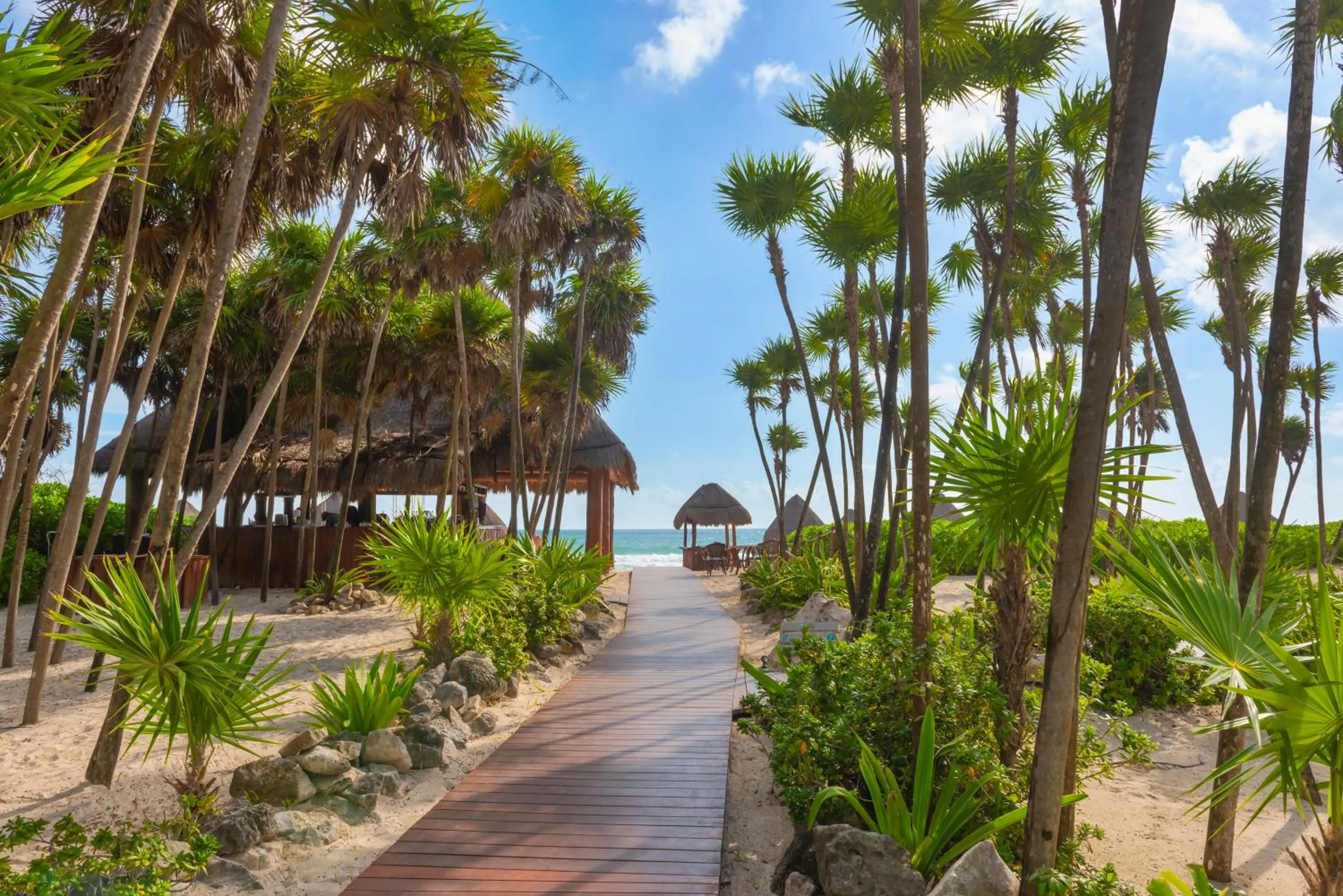 Natural landscape in Valentin Imperial Riviera Maya All Inclusive - Adults Only