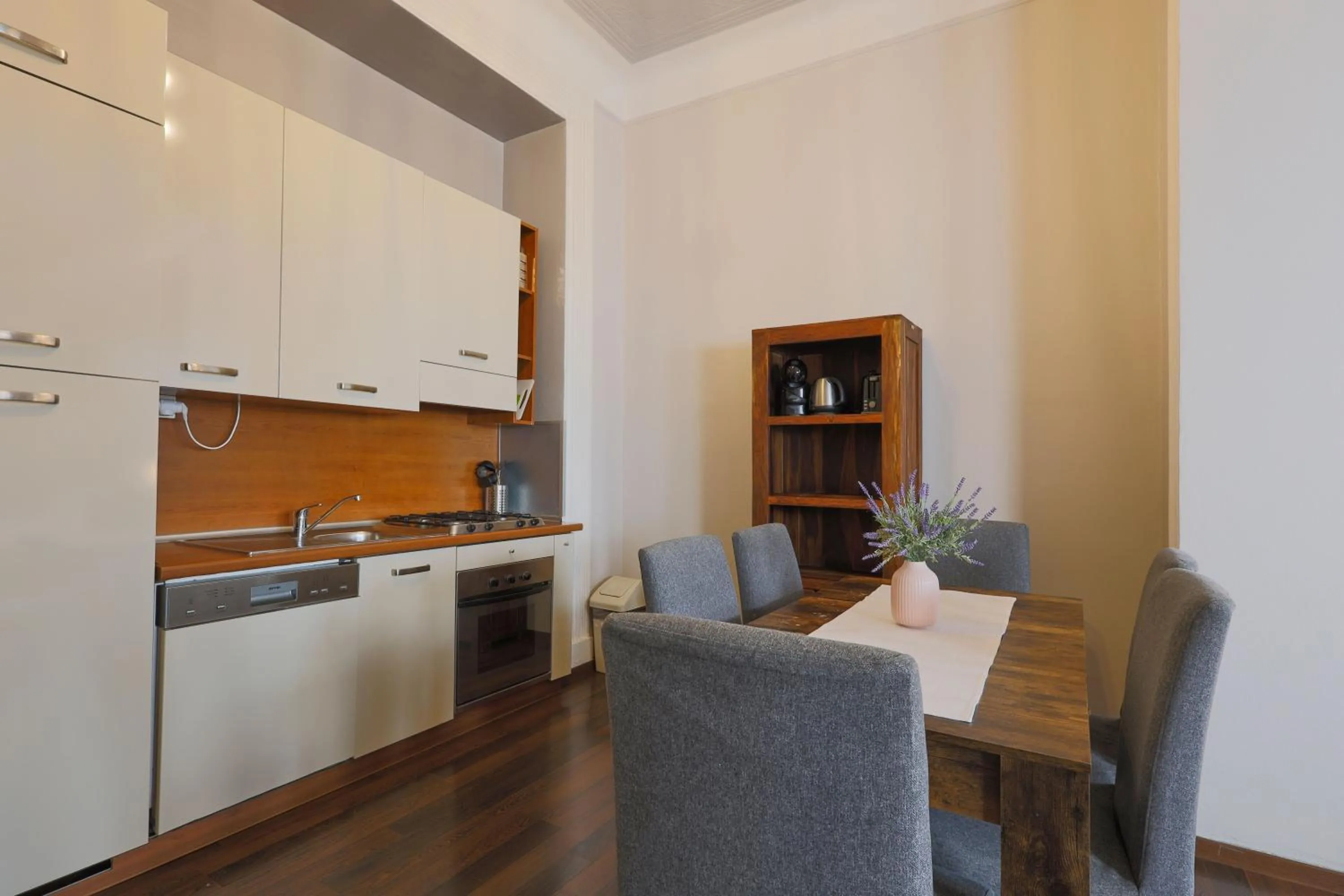 Kitchen or kitchenette in Janackovo - Riverside Residence