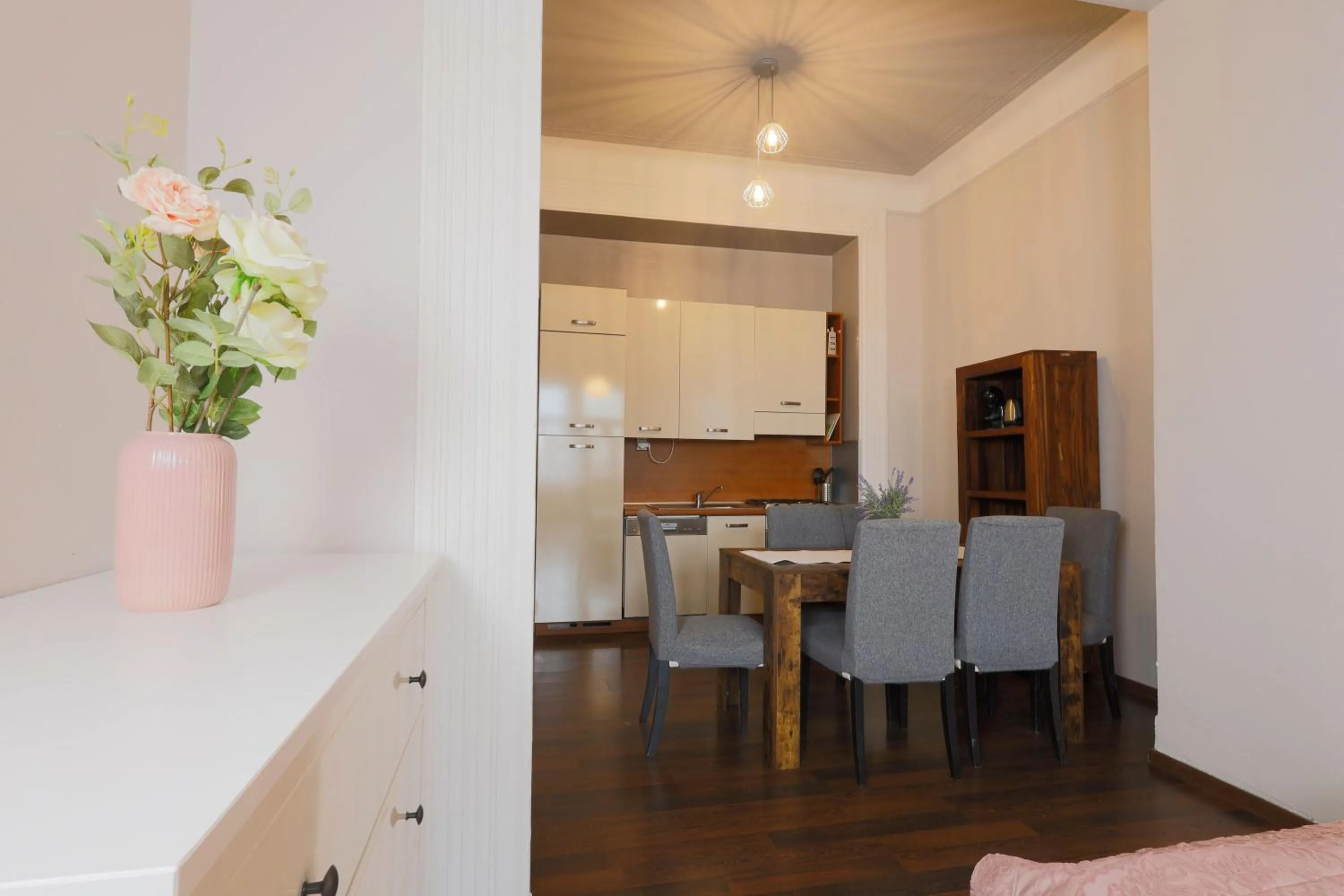 Kitchen or kitchenette in Janackovo - Riverside Residence