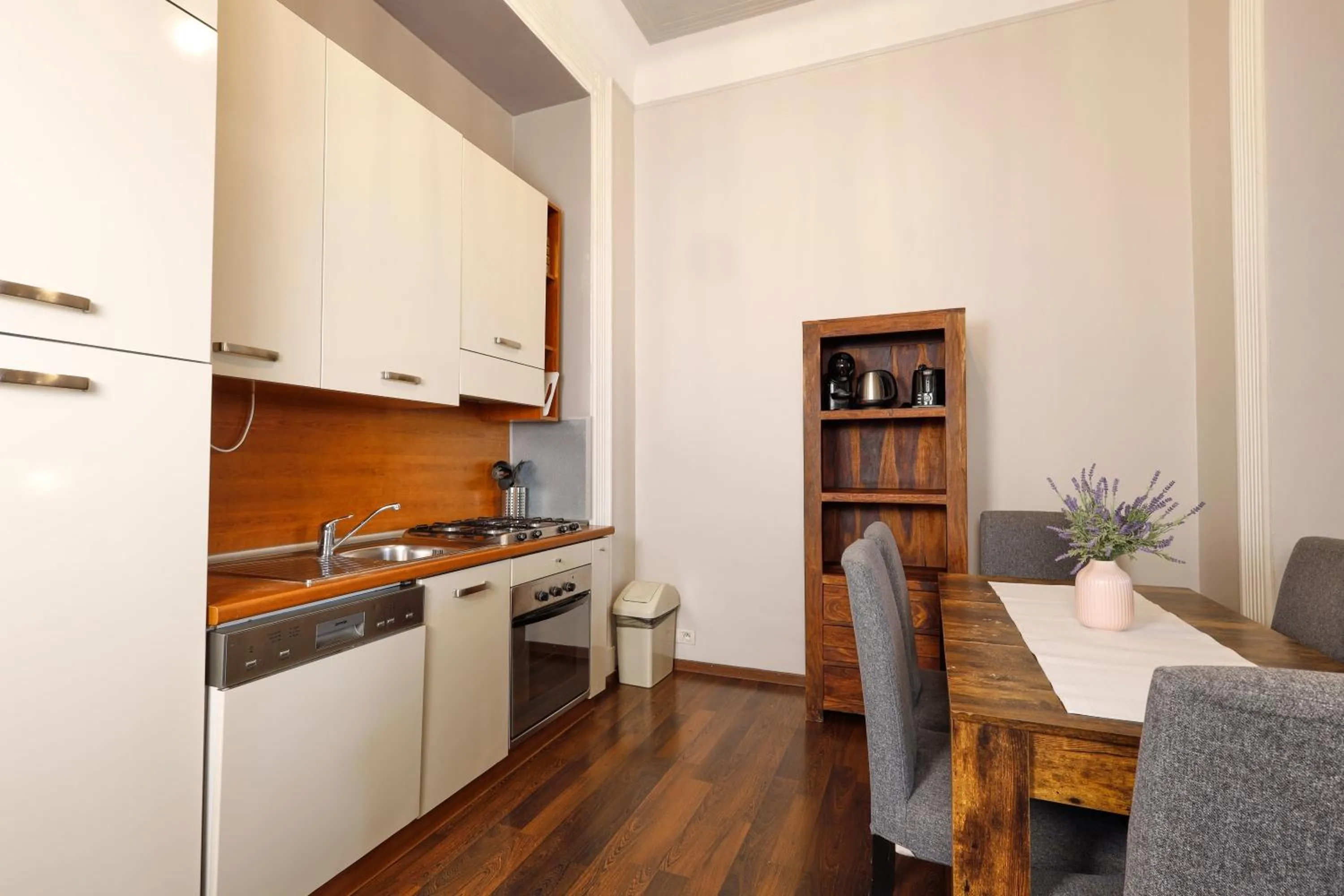 Kitchen or kitchenette in Janackovo - Riverside Residence