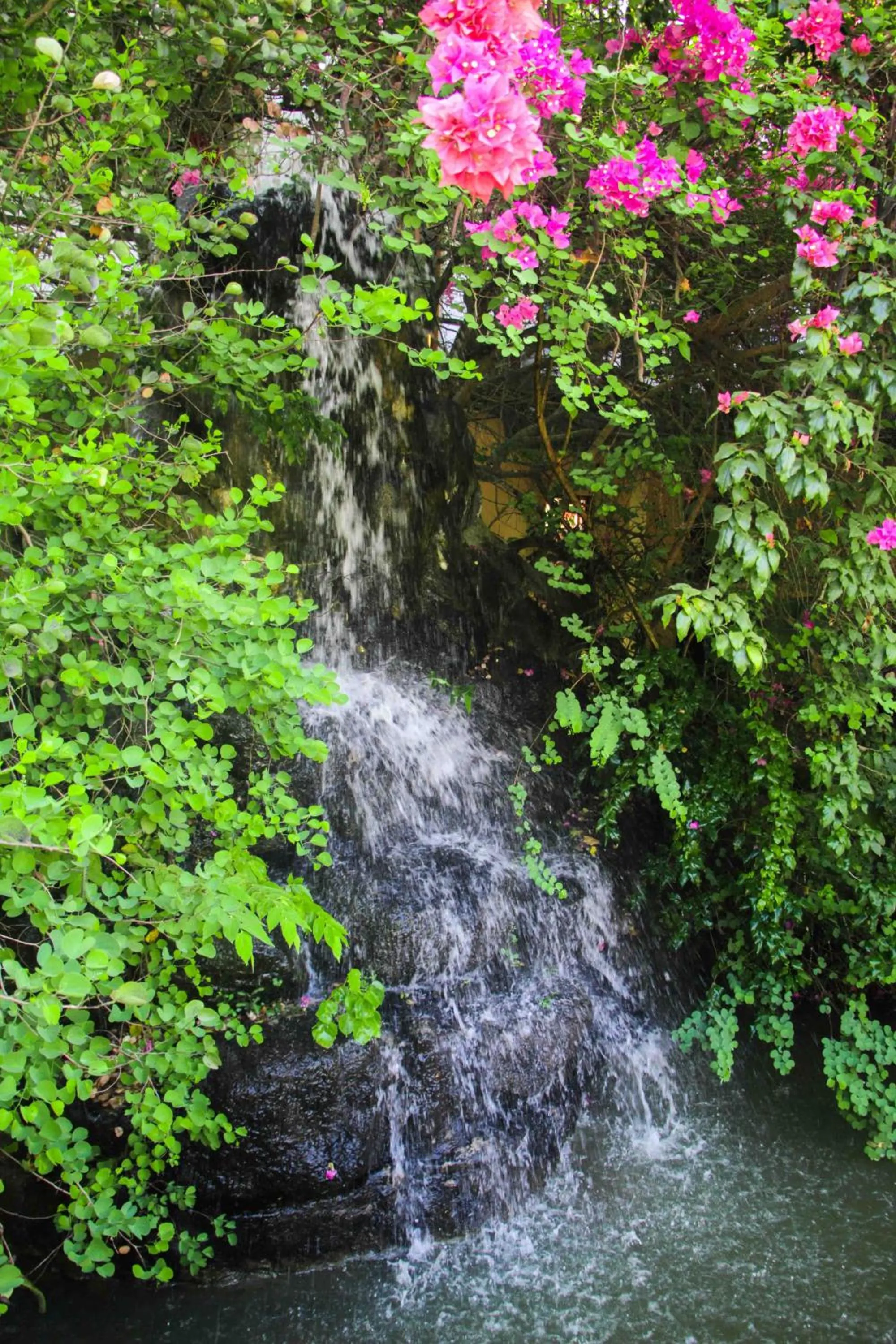 Facade/entrance in Hungry Lion Sigiriya