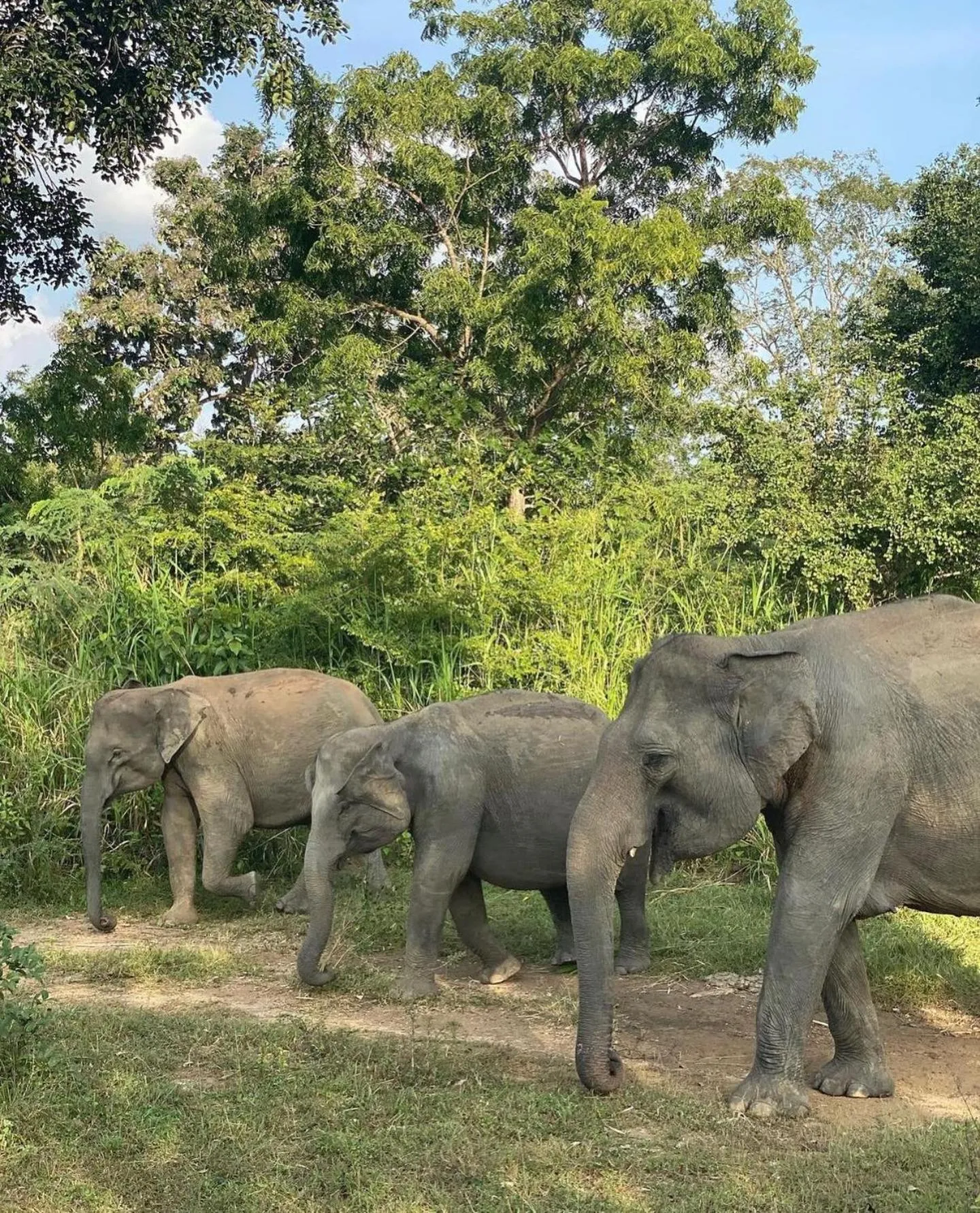 Natural landscape in Hungry Lion Sigiriya