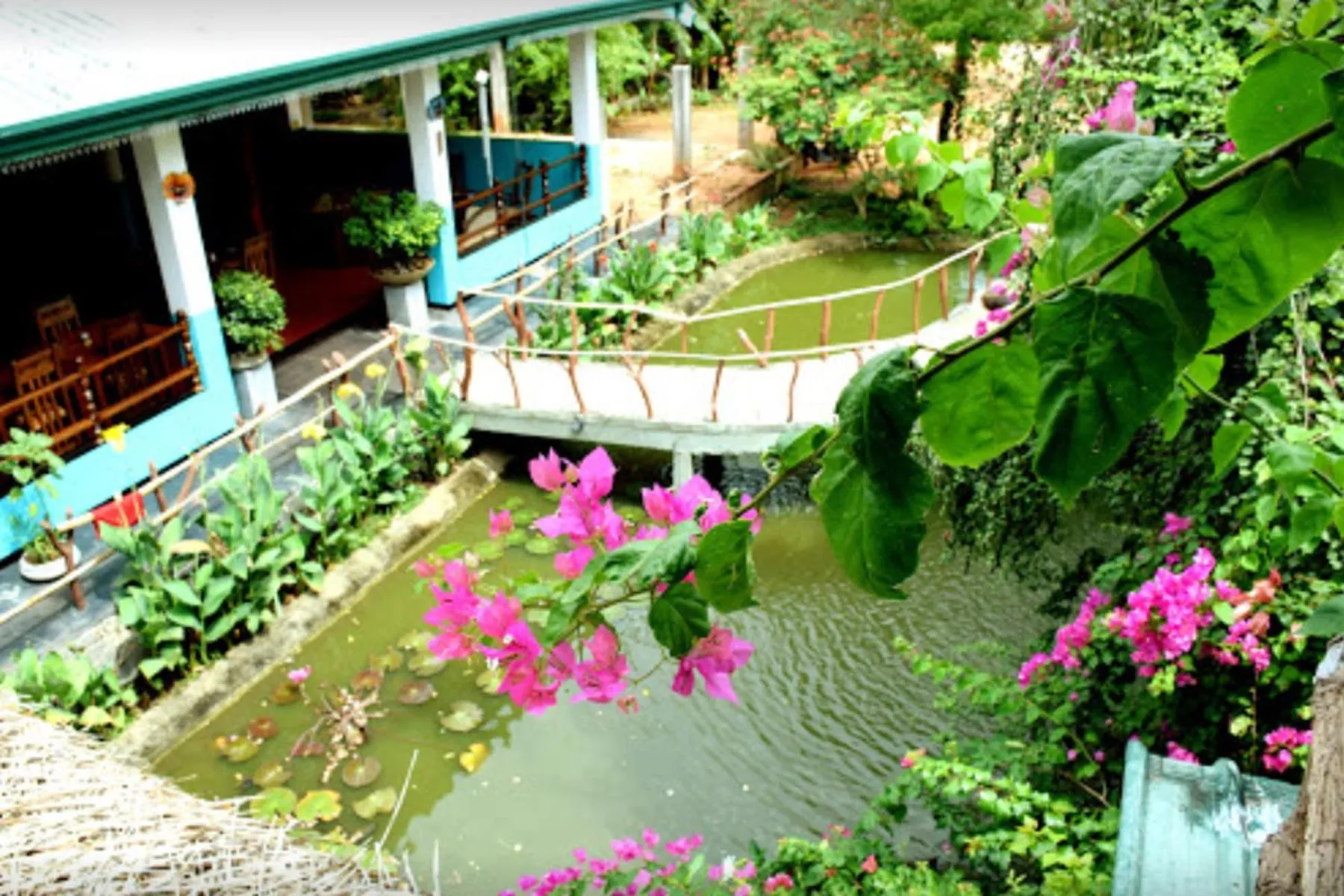 Facade/entrance in Hungry Lion Sigiriya
