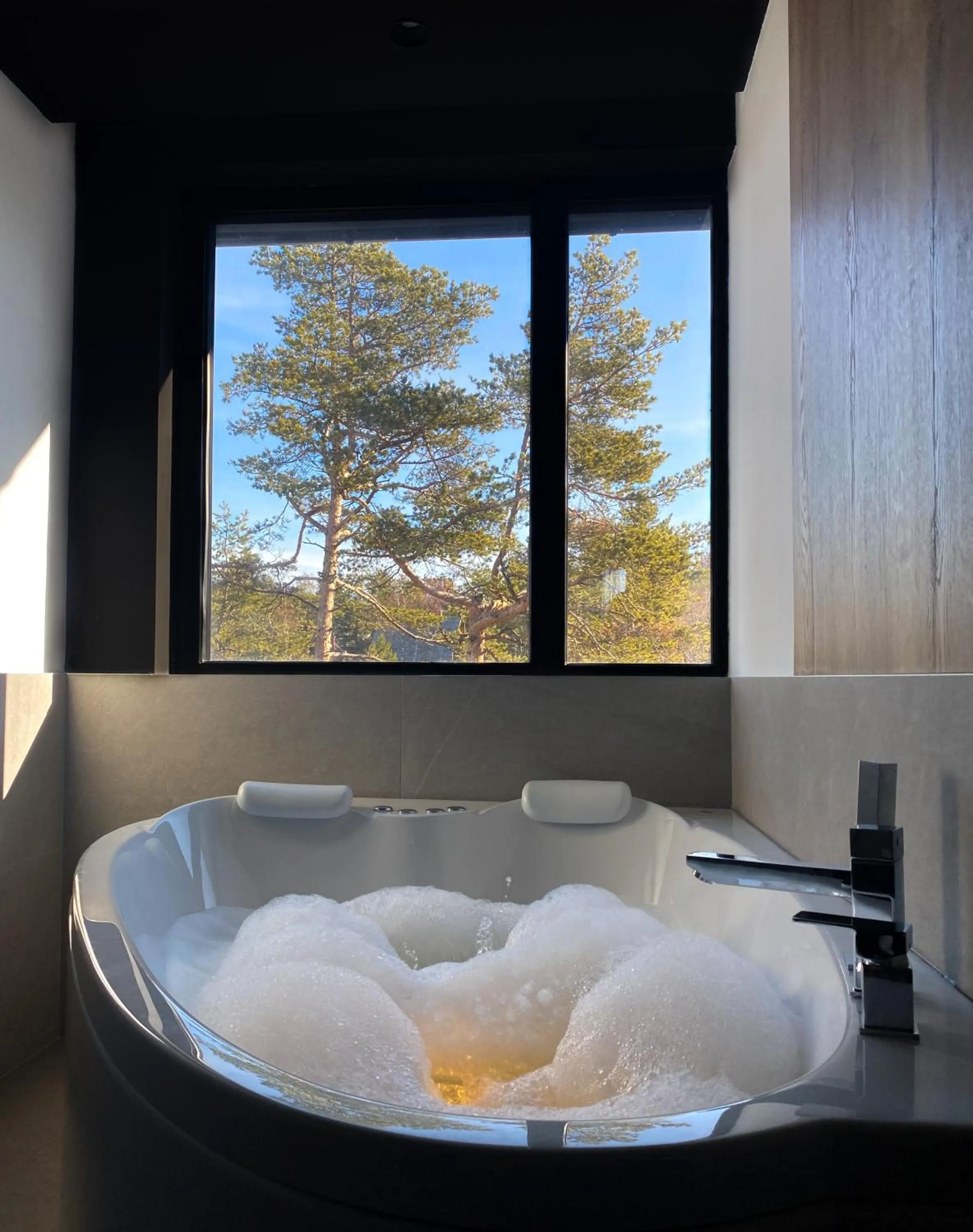 HOTEL ROYAL MOUNTAIN