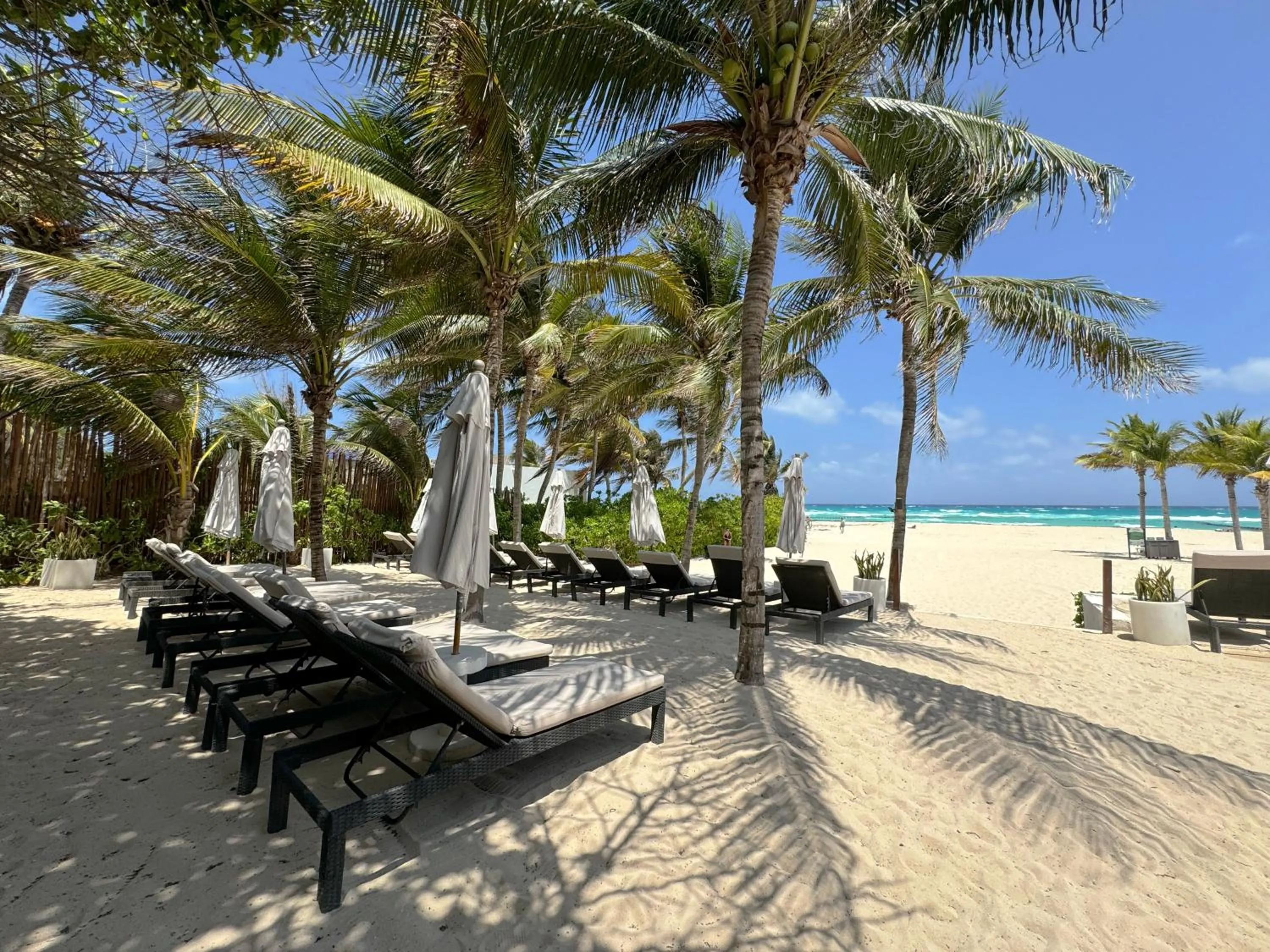 Beach in The Reef Playacar Beach Resort & Spa-Optional All Inclusive
