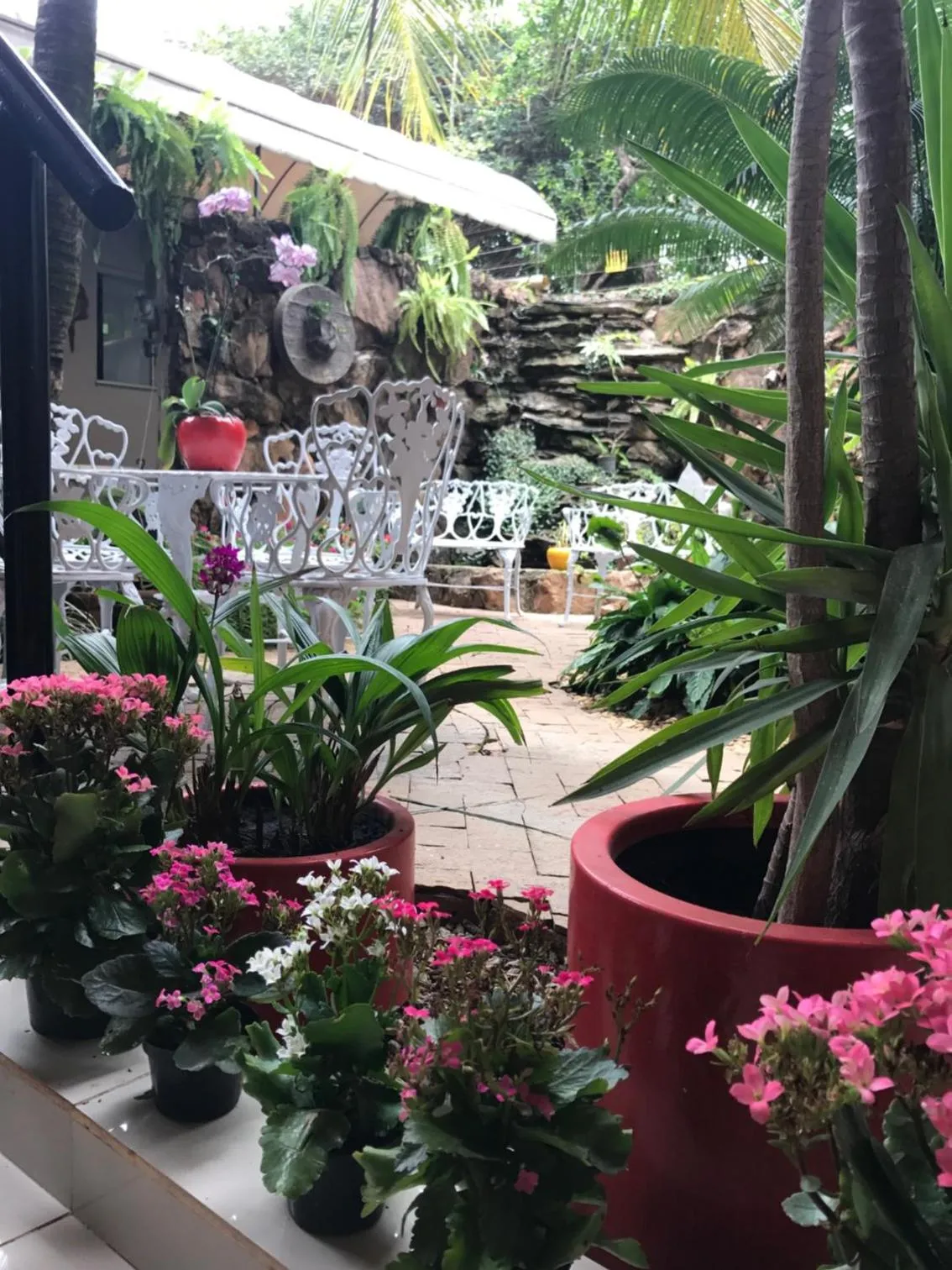 Spring in Aldeia das Flores Hotel
