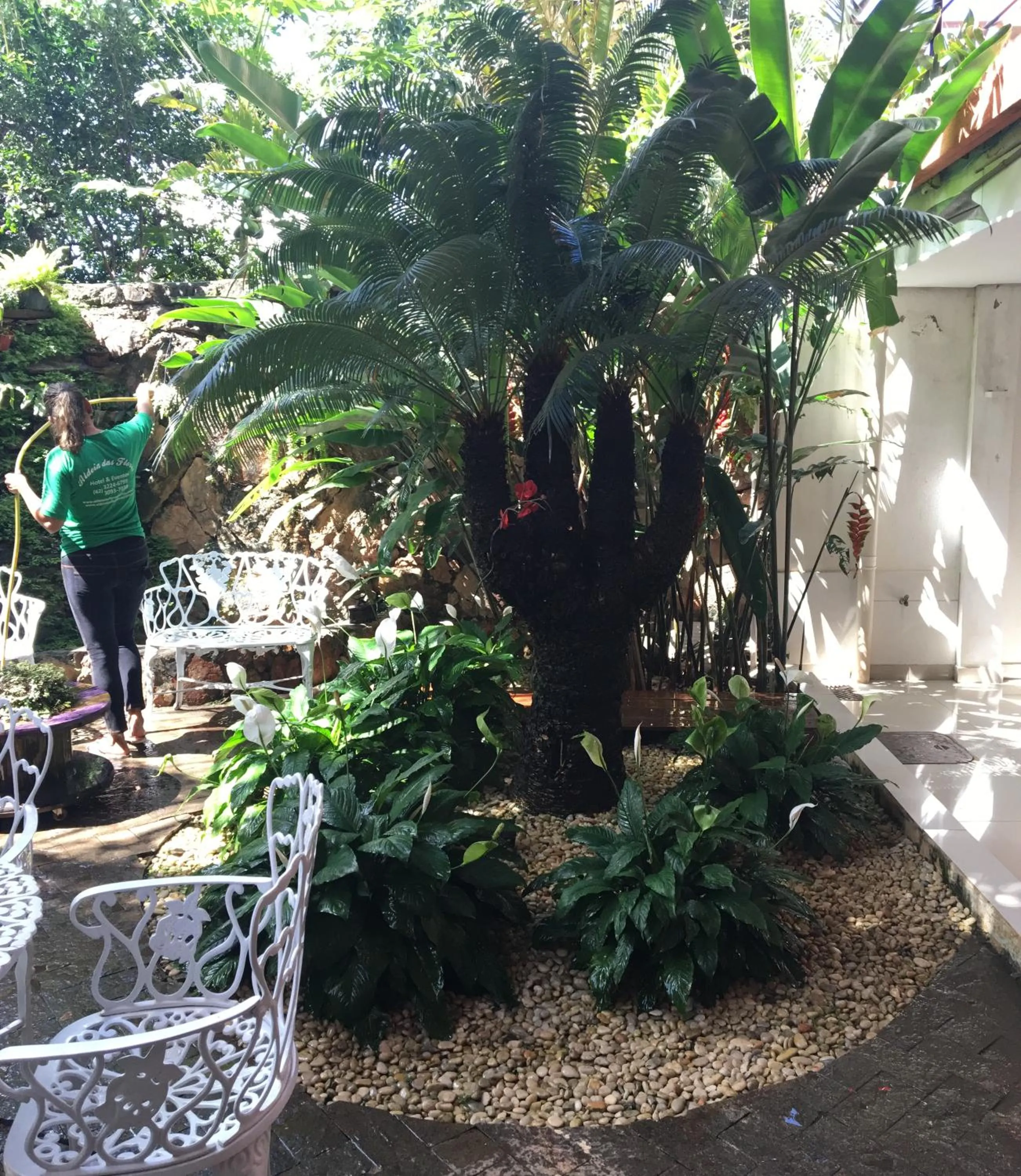 Garden in Aldeia das Flores Hotel