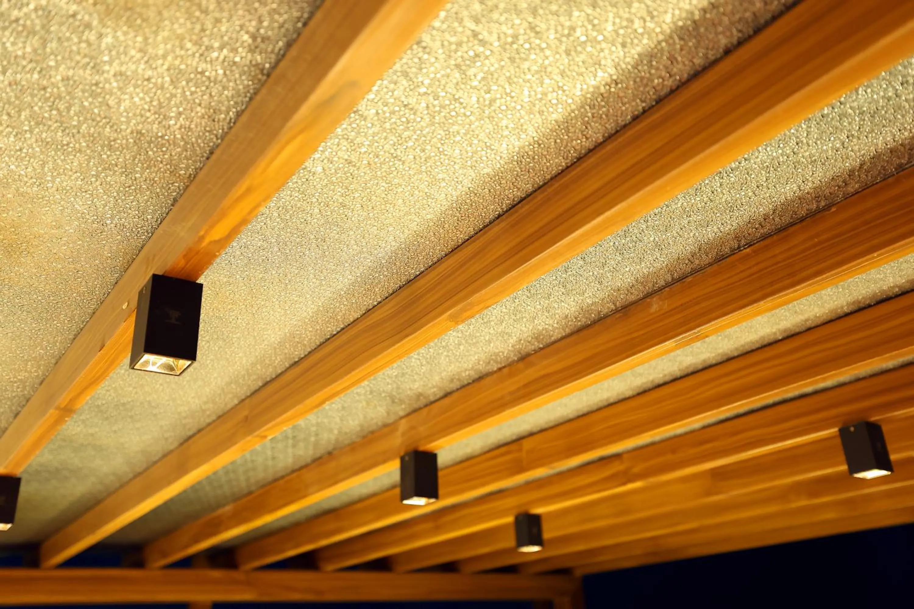 Decorative detail in OPO The View, Delhi Airport