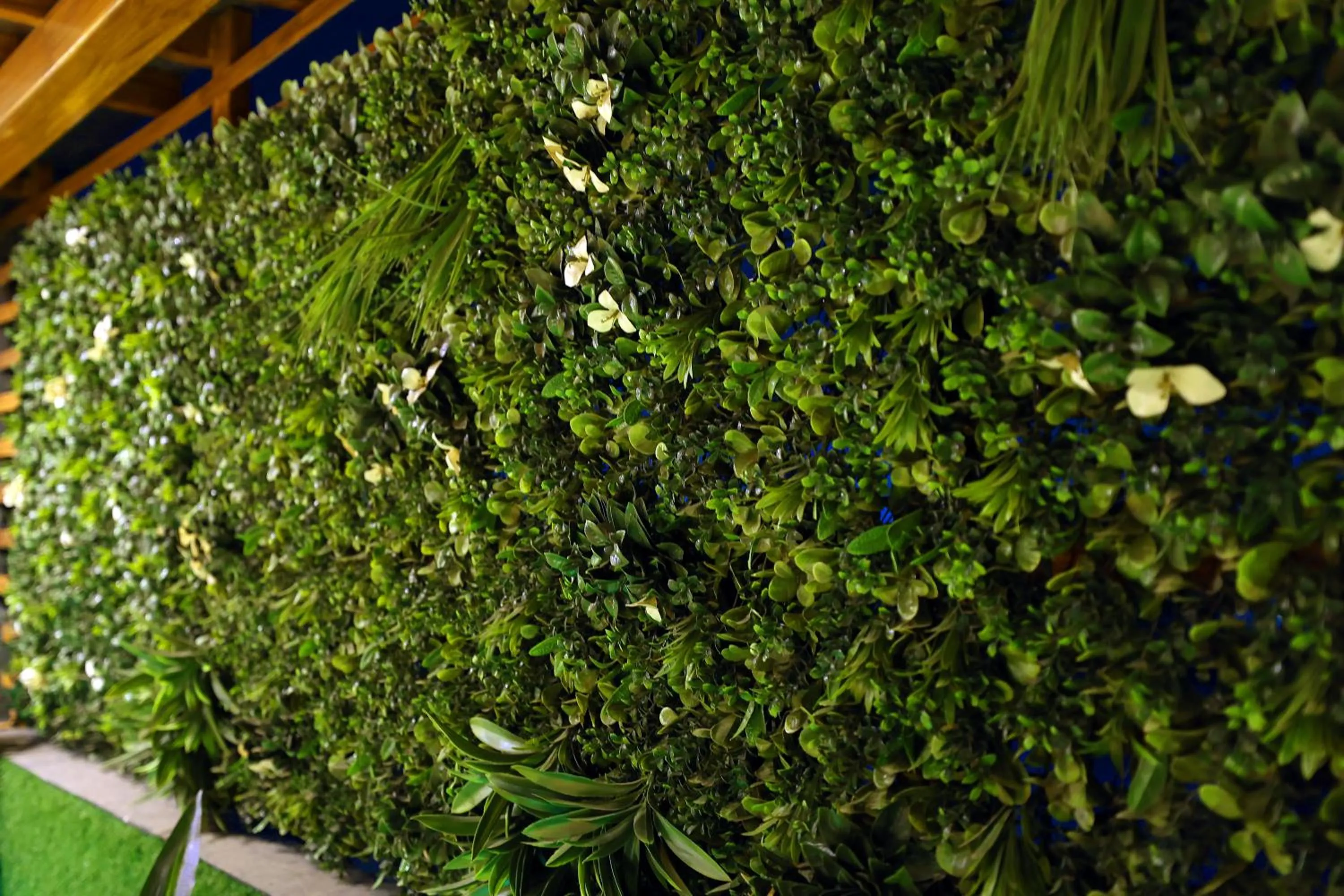 Patio in OPO The View, Delhi Airport