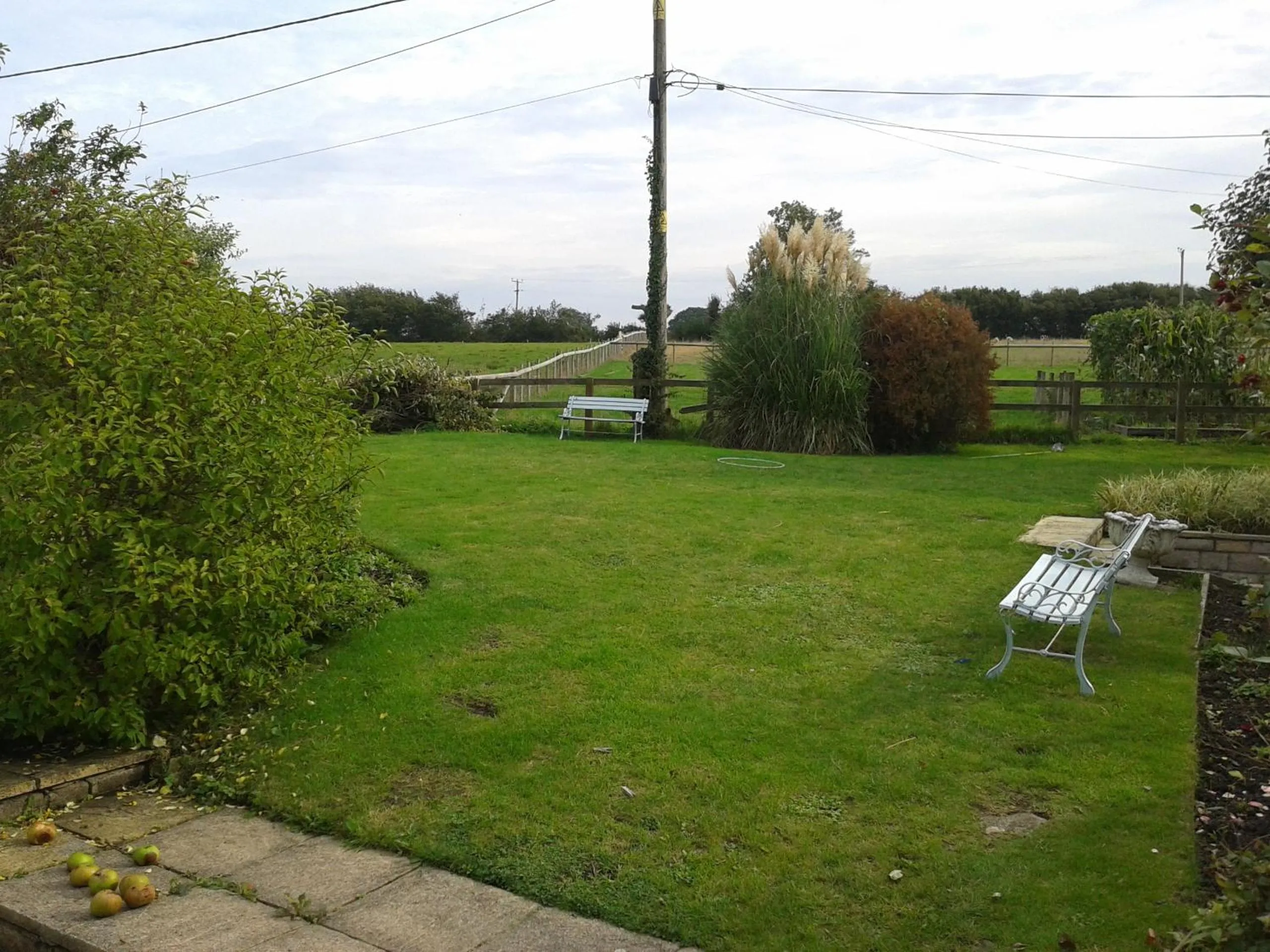 Garden in Yew Tree View
