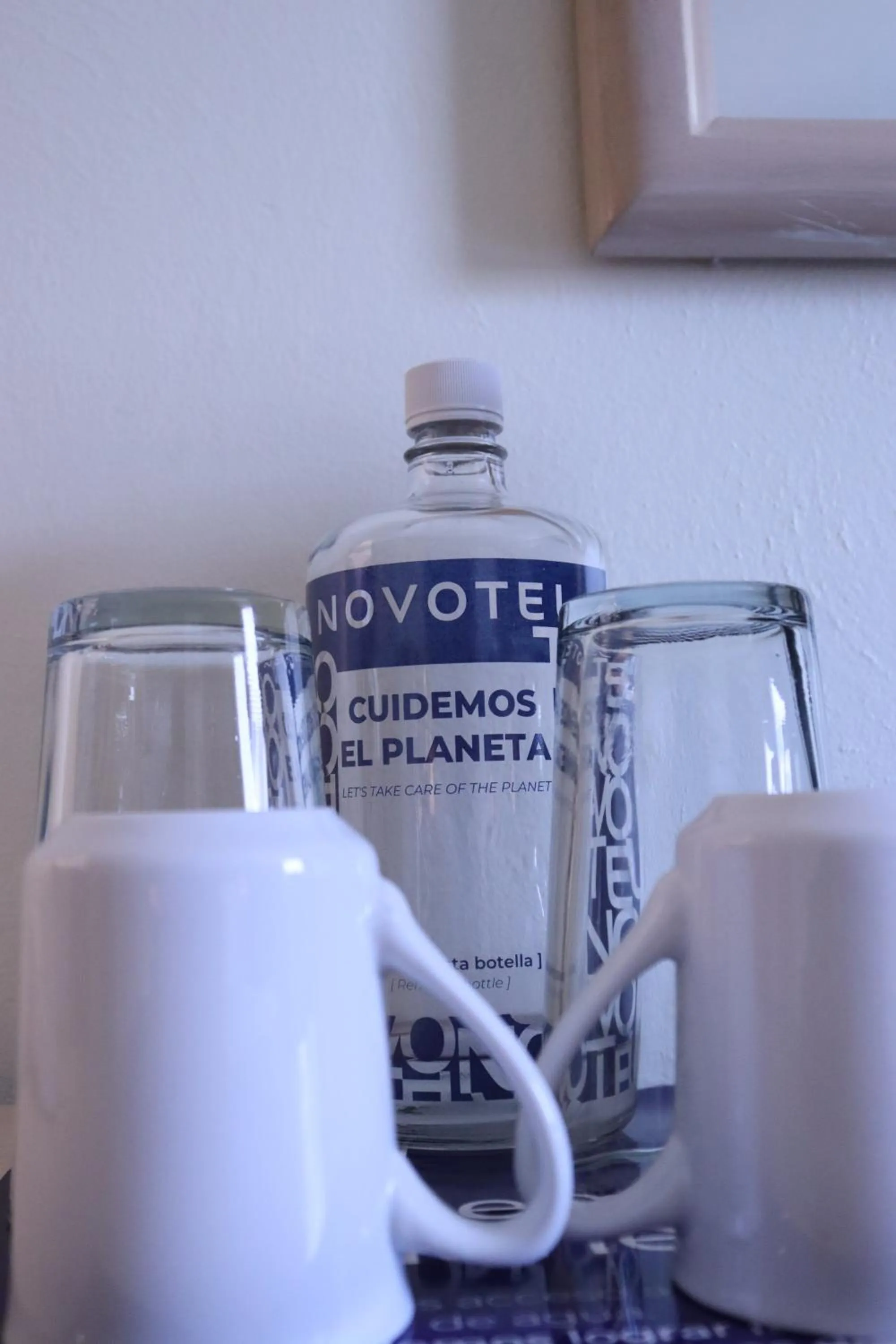 Decorative detail in Novotel Monterrey Valle