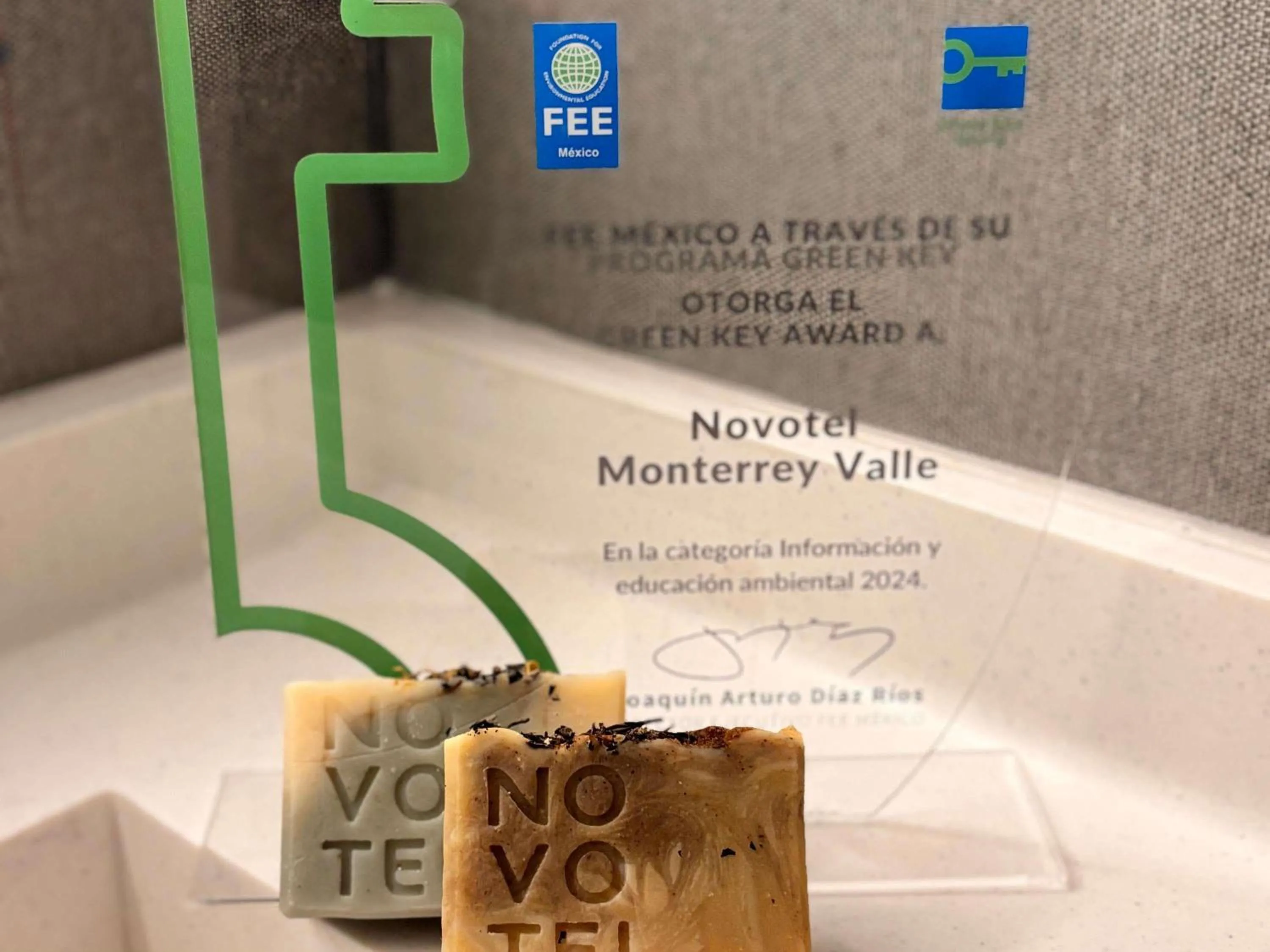 Other in Novotel Monterrey Valle
