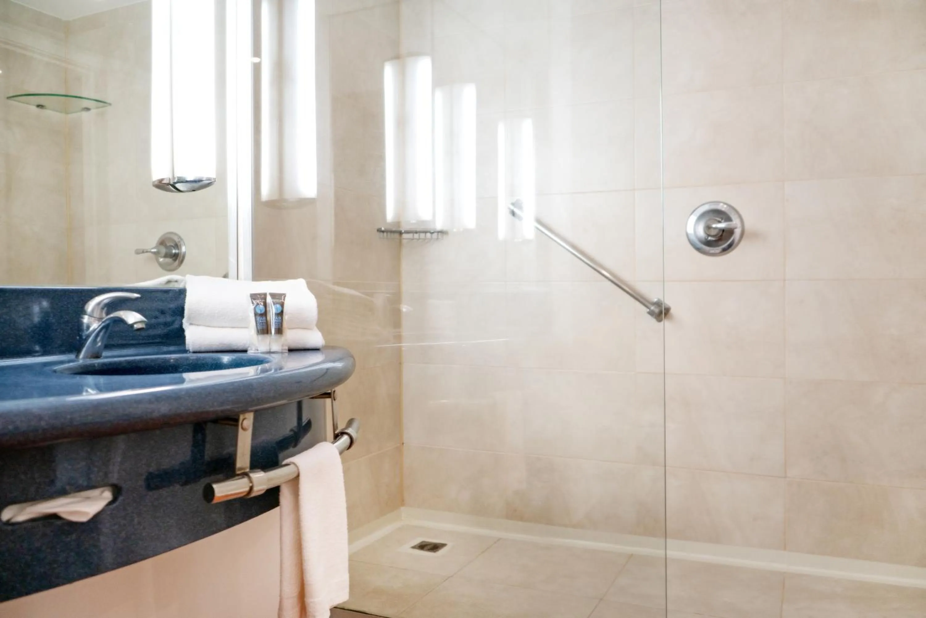 Shower in Novotel Monterrey Valle